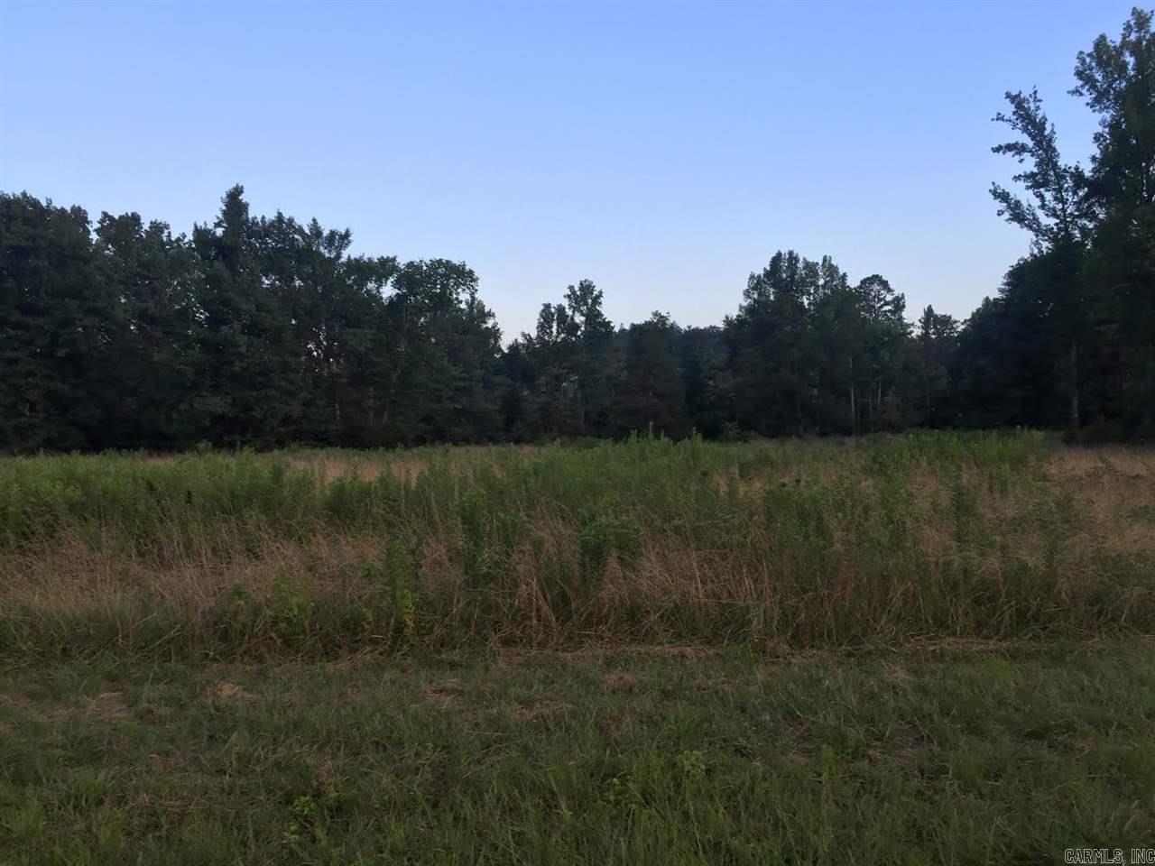 Virginia Downs - Land