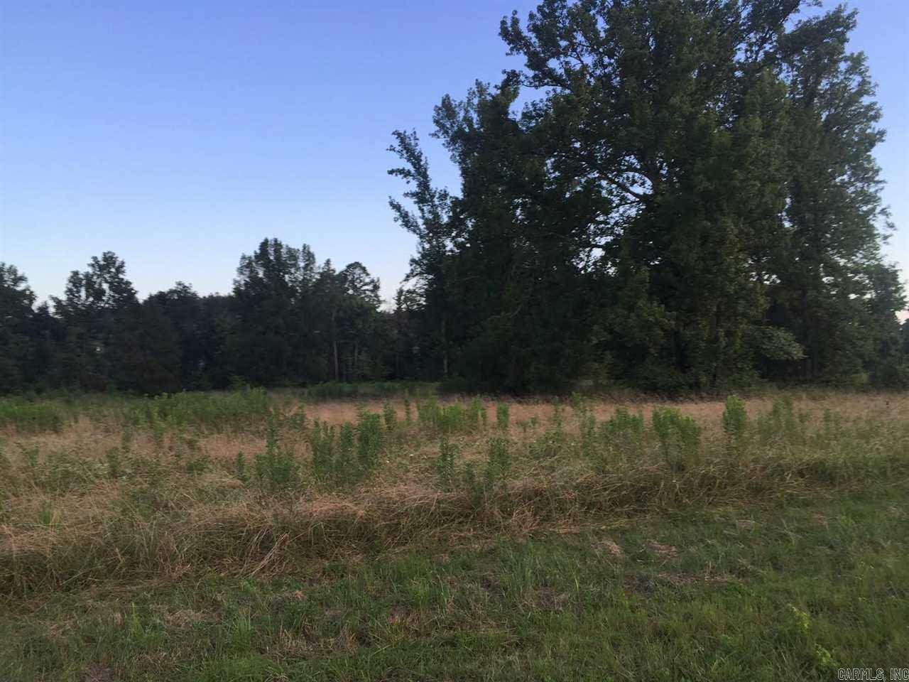 Virginia Downs - Land