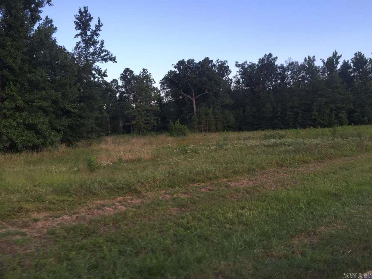 Virginia Downs - Land