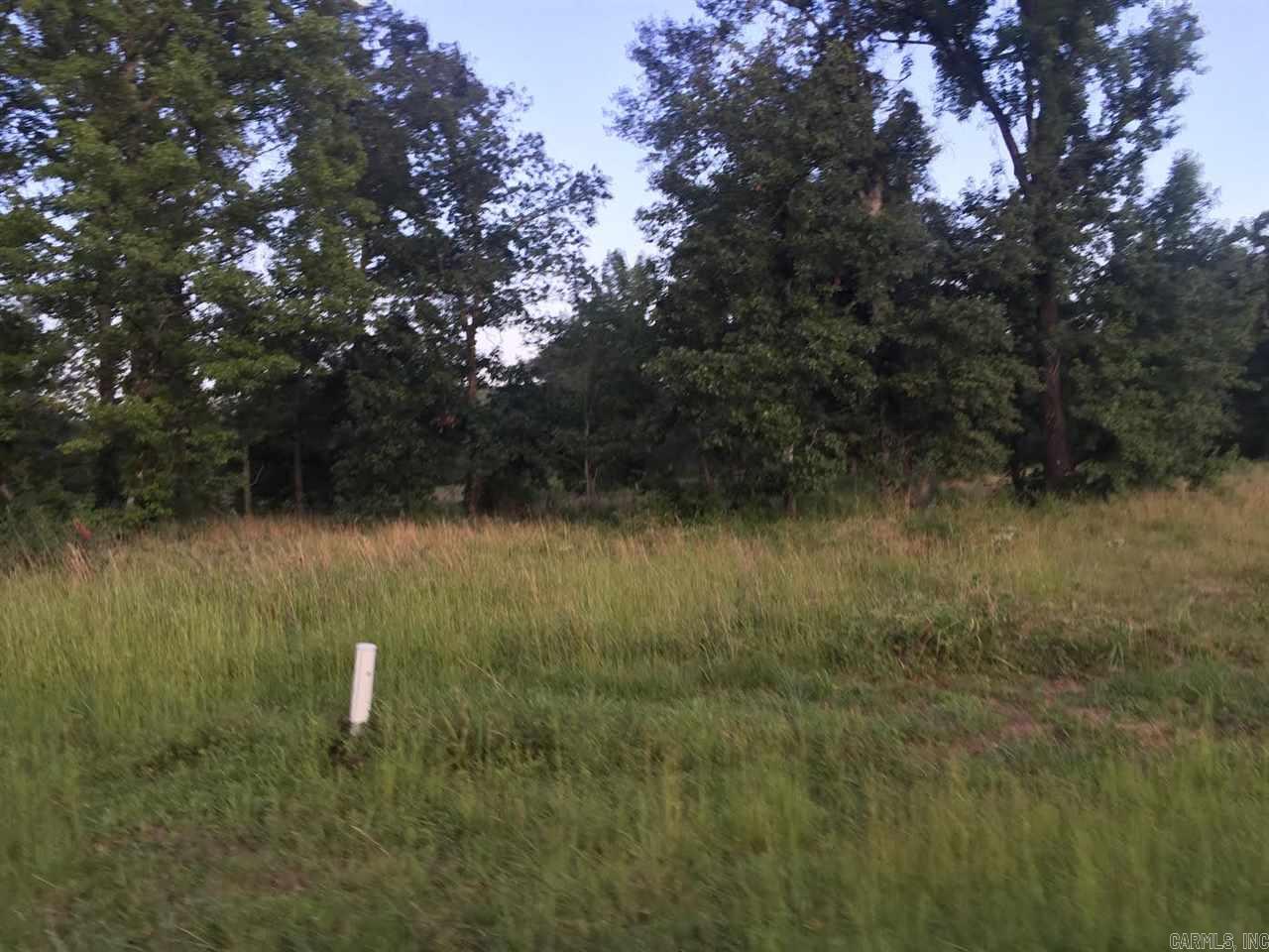 Virginia Downs - Land