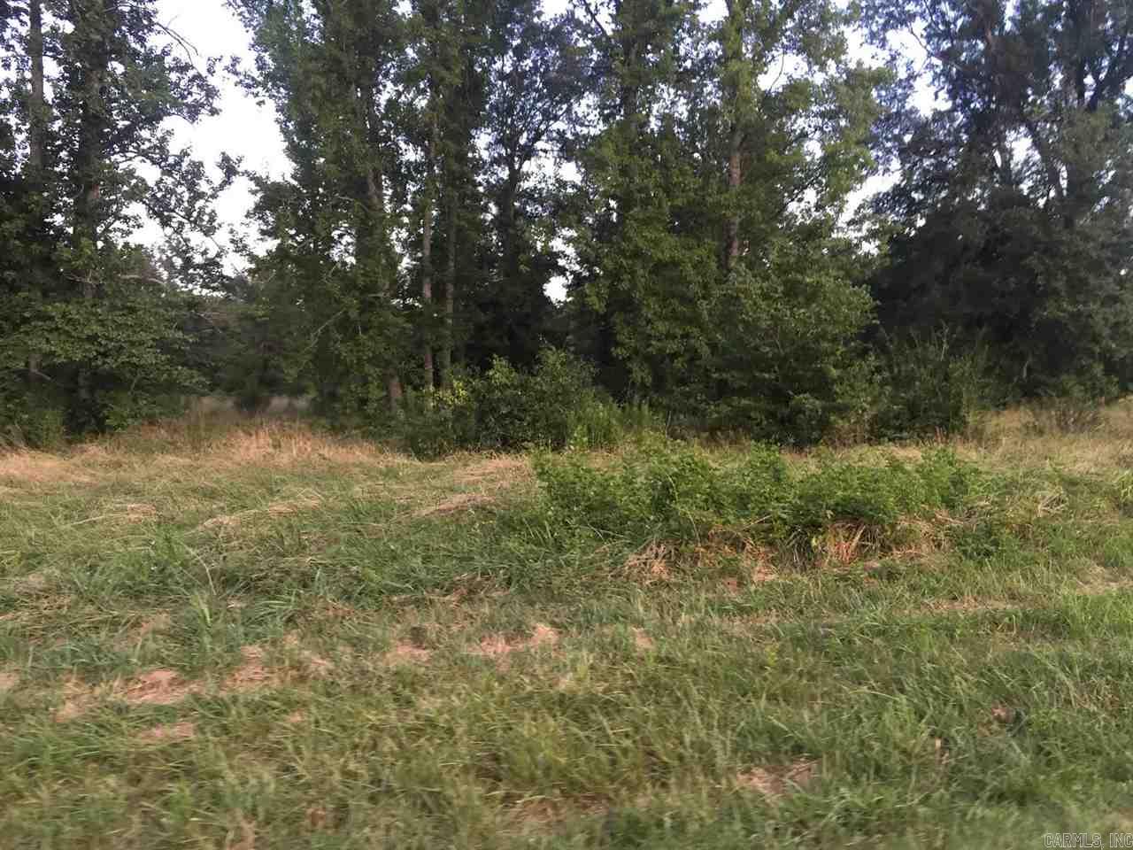 Virginia Downs - Land