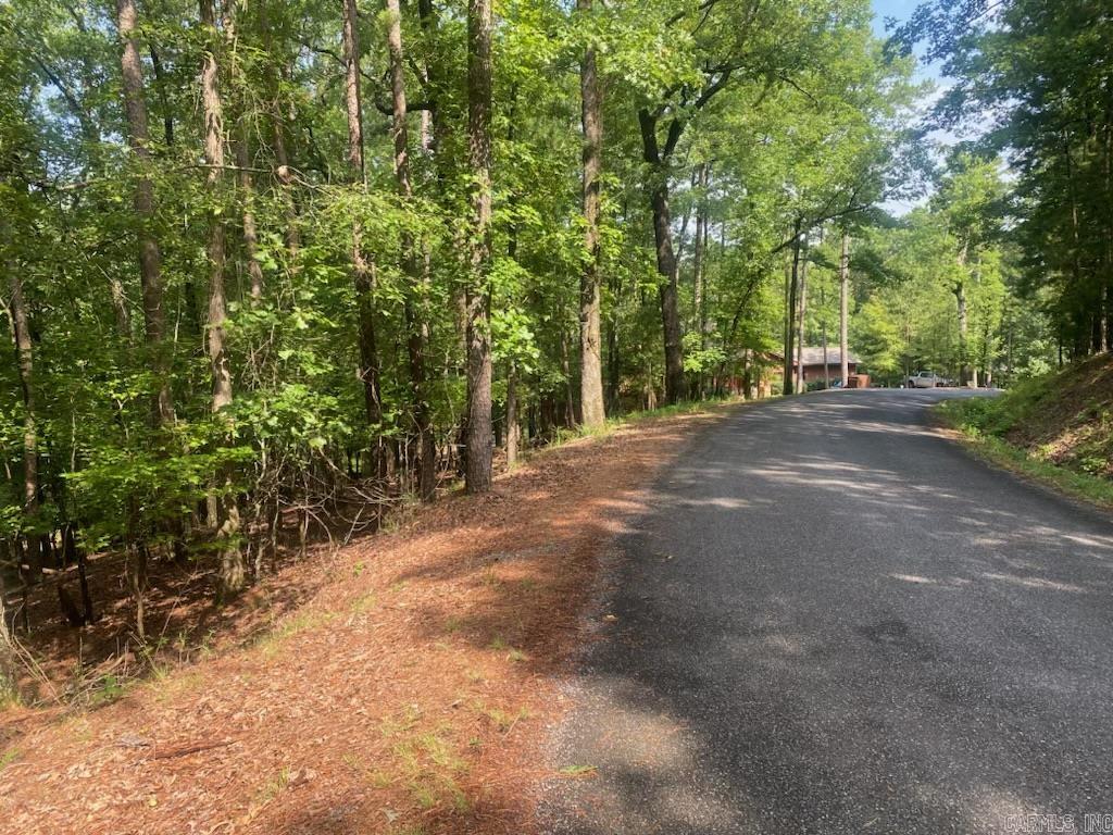 Hickory Nut Mountain Estates - Land