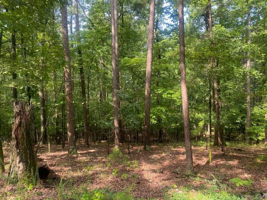 NEW PRICE!!  Untouched Lot in Harbor South! This 2.36 acre m/l lot has been virtually untouched since the beginning of Harbor South. A mix of large trees with plenty of room to build your Lake Ouachita home.  Located on Southridge Drive and just a short drive to all the amenities, including a swimming pool, located within the Harbor South Park. These lots do not come available very often.  Don't miss your opportunity to own in Harbor South!  $225,000.00