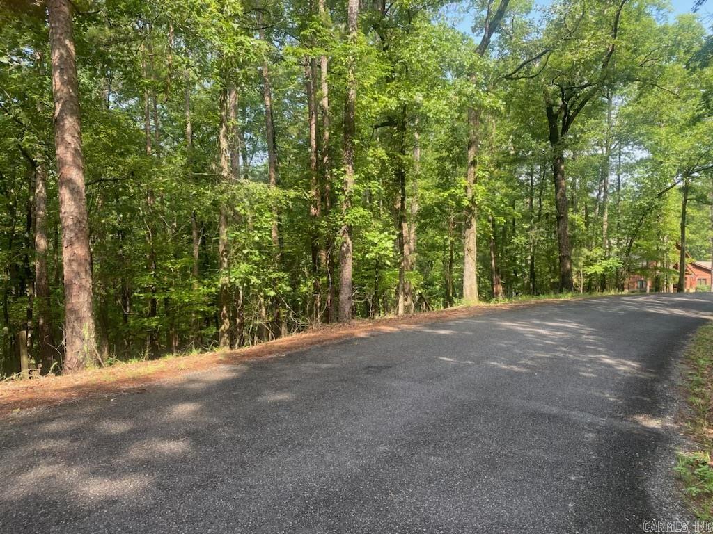 Hickory Nut Mountain Estates - Land