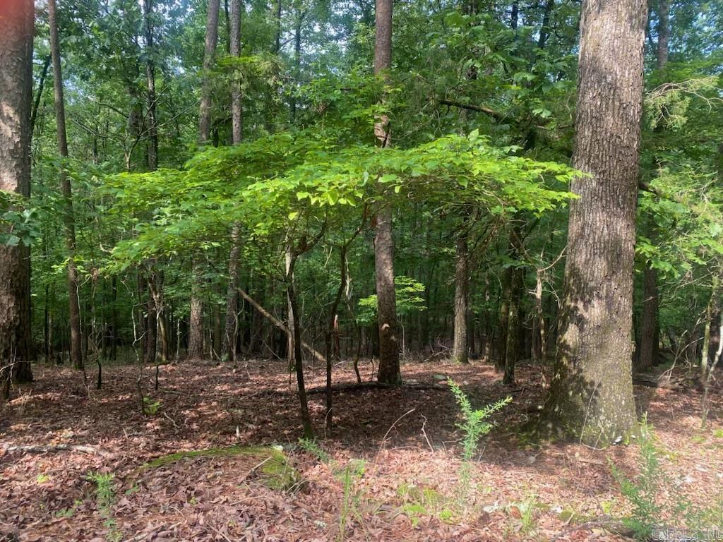 Hickory Nut Mountain Estates - Land