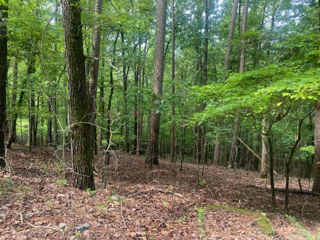 Hickory Nut Mountain Estates - Land