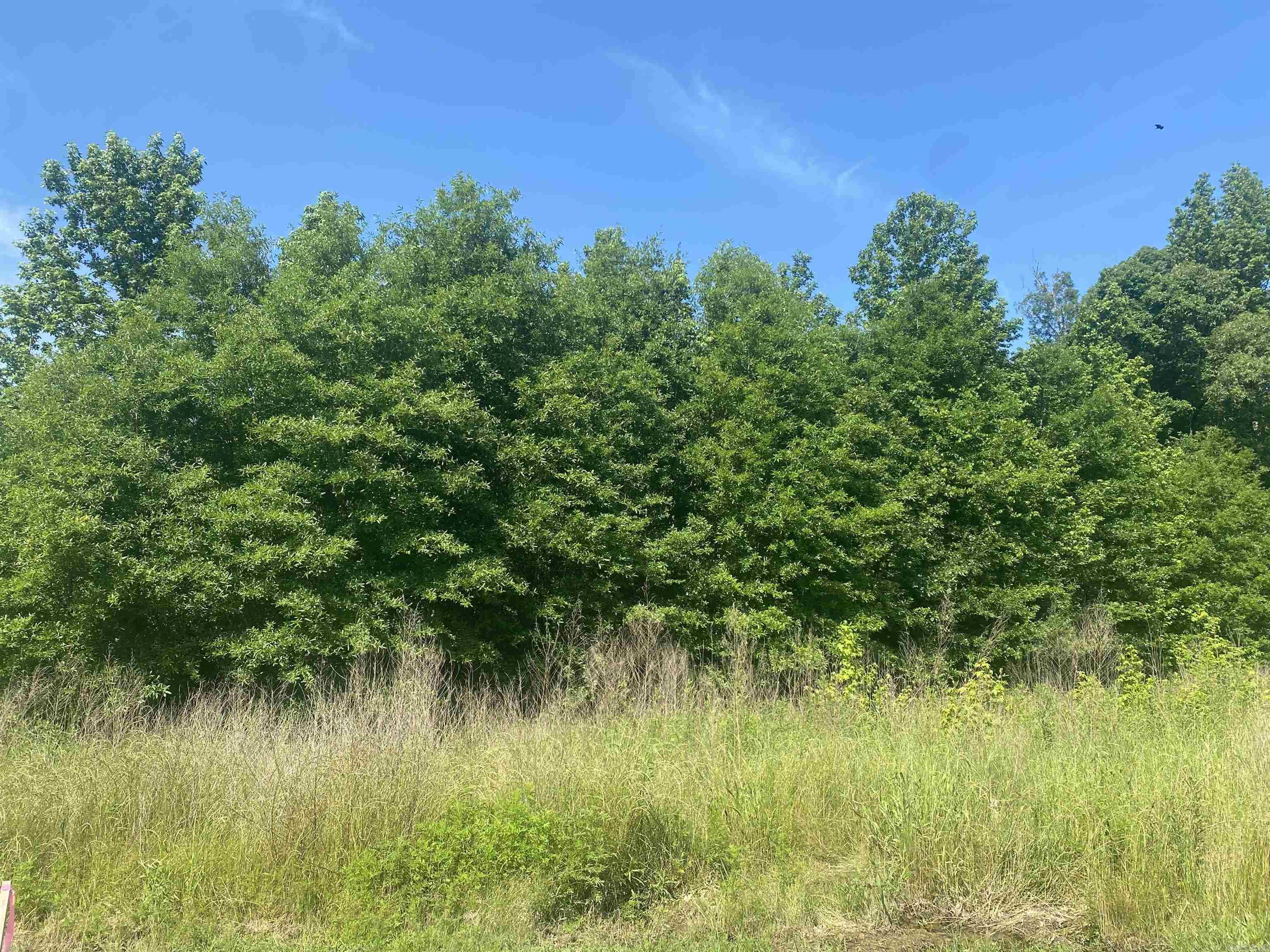 Beautiful 6 acres on land! Build your dream home! Flat level beautiful land! Call today! No mobiles.