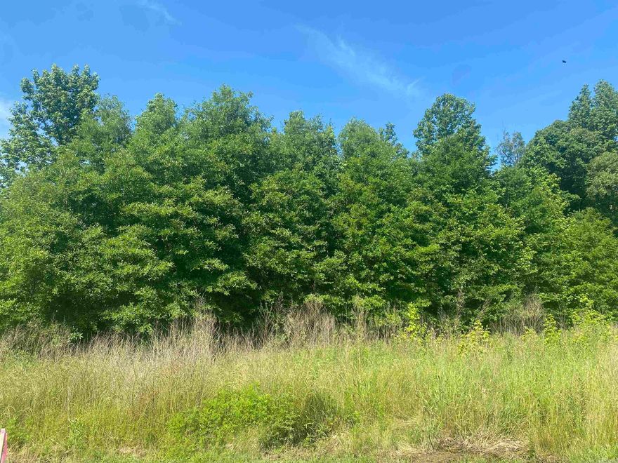 Beautiful 6 acres on land! Build your dream home! Flat level beautiful land! Call today! No mobiles.