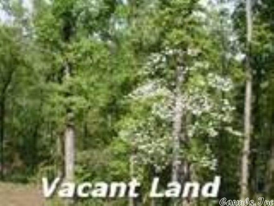 Lot 27, Beautiful 3 acres in Mayflower right off Highway 89 North. In the Scenic Valley subdivision. You can buy both lots which is 6 acres, MLS 23018670. High and dry, no flood. Has Mayflower water at road, out of city. Has a small bill of assurance but newer mobiles are allowed. Pictures are coming.