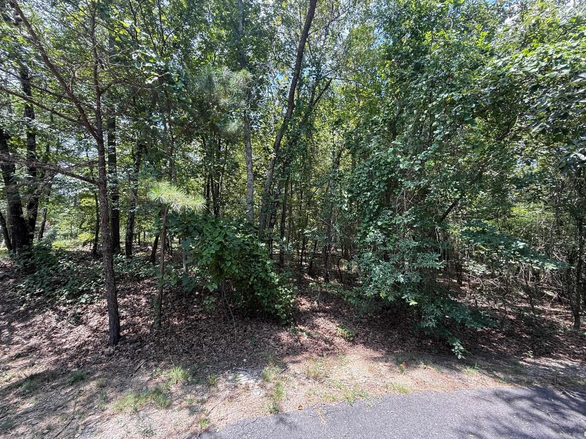 Prime cul-de-sac lot located in the prestigious Hot Springs Village community. This gently sloping, wooded property offers privacy and a peaceful setting, within walking distance to the renowned Coronado Golf Course and Clubhouse. Conveniently situated near fitness facilities, walking trails, lakes, and dining options, this lot is ideal for building a custom home or holding as an investment. Experience the lifestyle of Arkansas' largest gated community with access to golf, recreation, and natural beauty in every direction.
