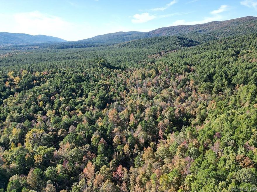 Amazing river property and National Forest boundaries. This 156+ acres joins National Forest and the Ouachita River along the backside. Great hunting camp for current owners but has amazing building spots with mountain views. This could be your dream place! Must call for your private showing! Agents see remarks.