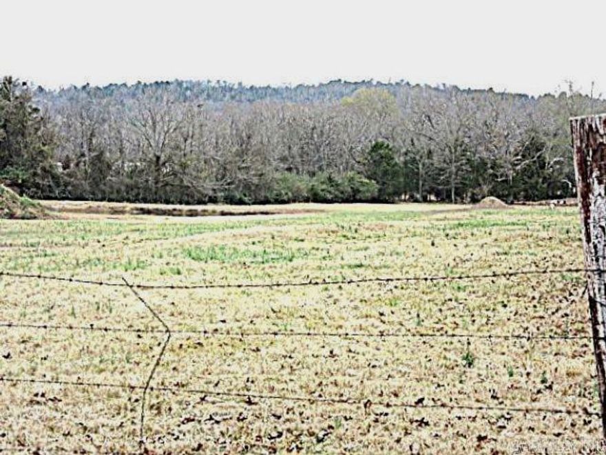 Nice 4 acres located between Greenbrier and Wooster. Mostly cleared with stock pond, city water and sewer om paved road frontage. Great building site and animals welcome.