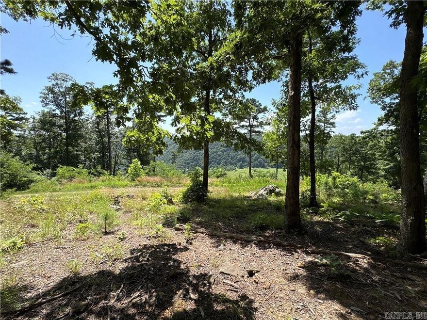 4.9 acres offering privacy close to the end of the road and no restrictions! Property feature electric, rural water, septic, and a new storm shelter (11/2024). Includes a leveled shipping container with door, window, and wood stove. Large pad for camper and a 2020 camping trailer included in the purchase price. Multiple potential build sites and a viewing deck overlooking a finger of the Buffalo River Grand Canyon - endless possibilities for year dream getaway, build, or retreat.