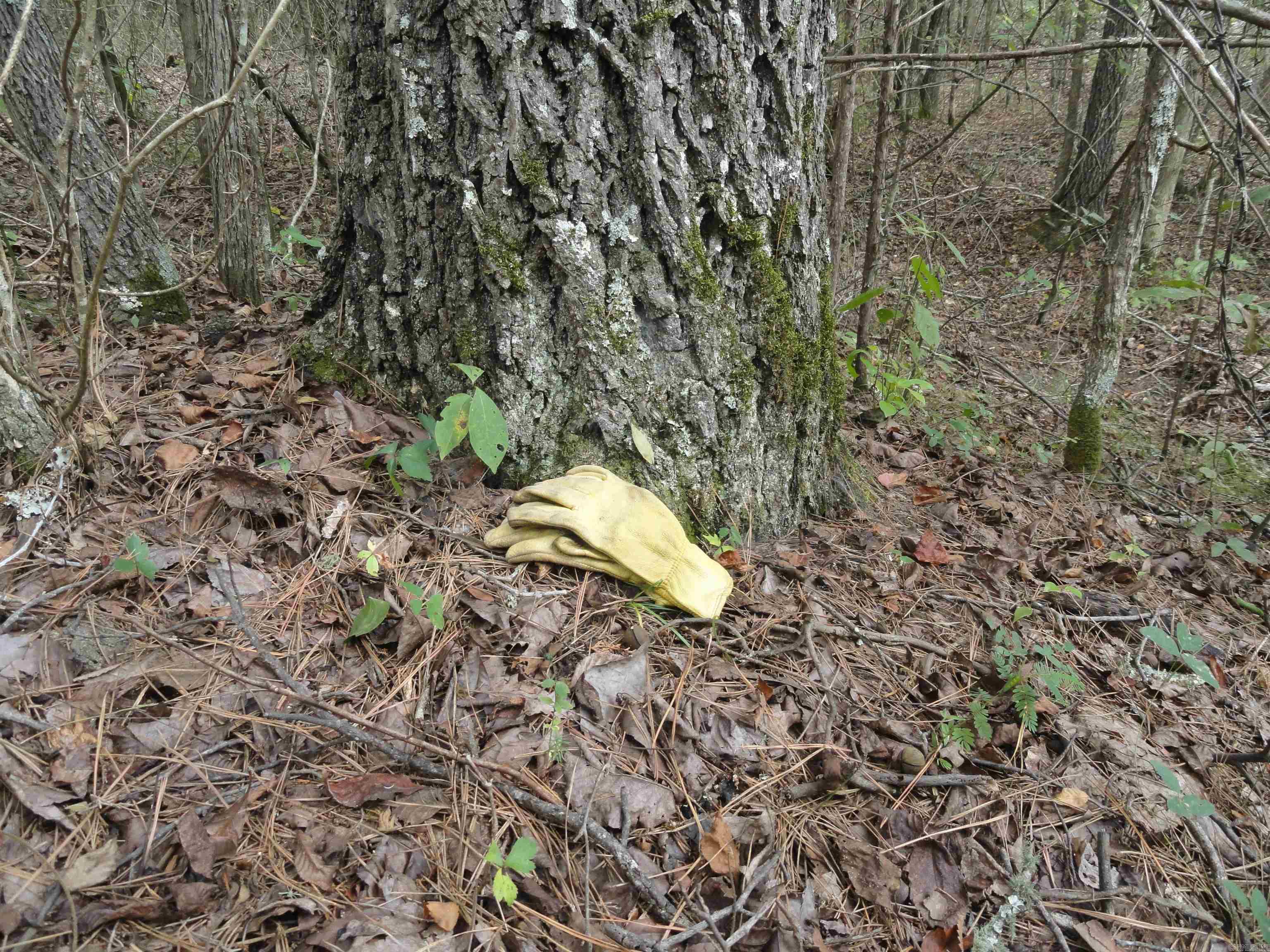 Metes & Bounds - Land