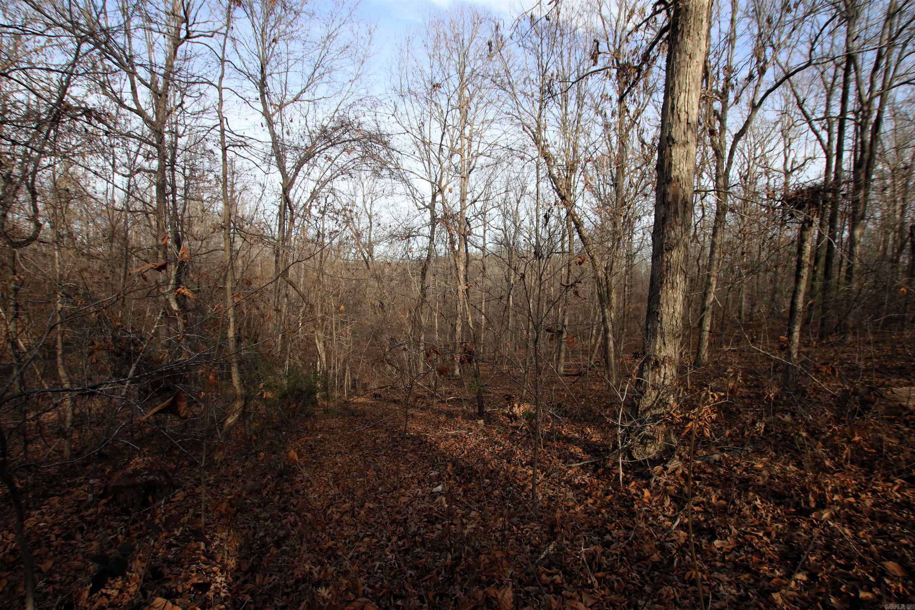 Not in Subdivision - Land