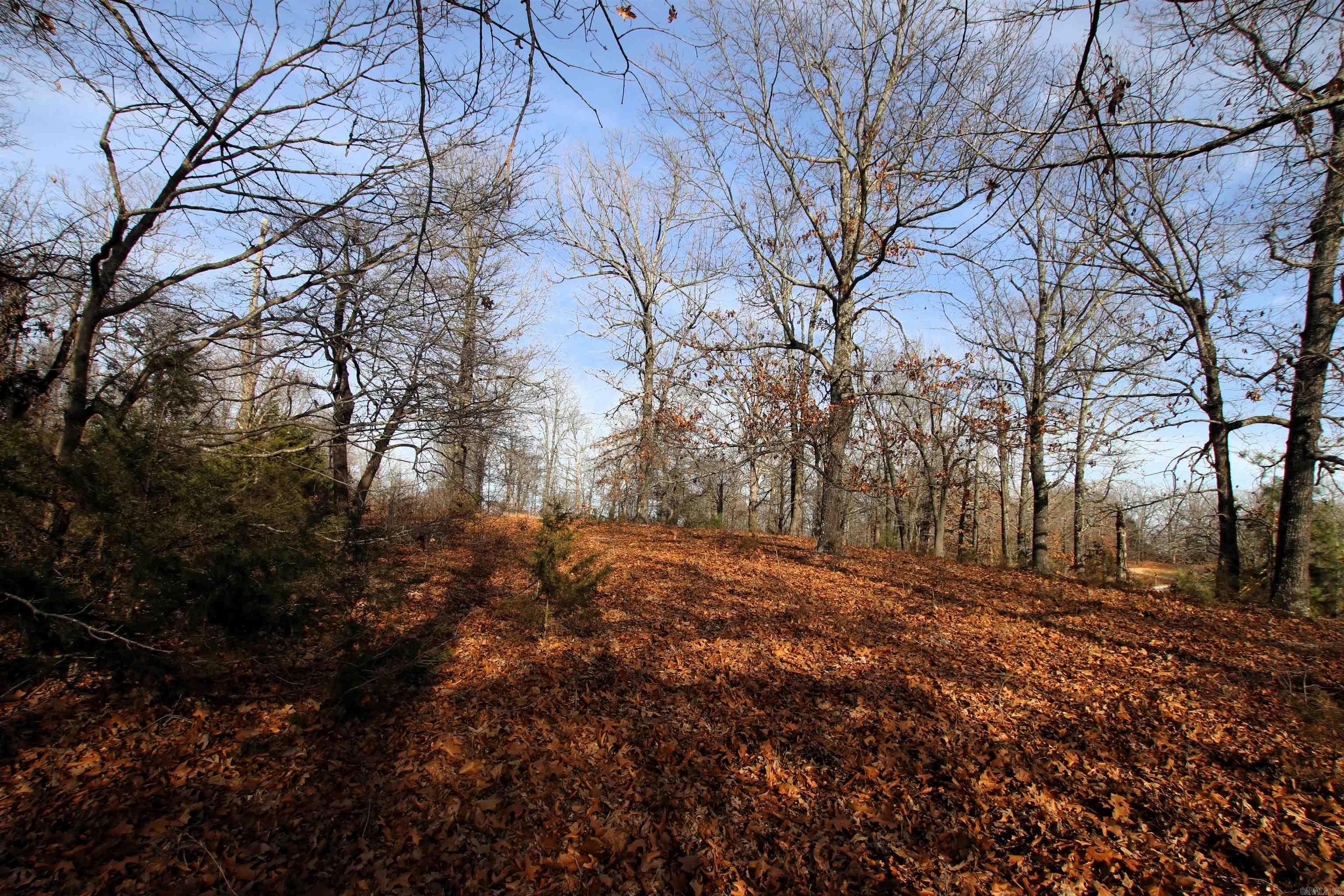 Not in Subdivision - Land