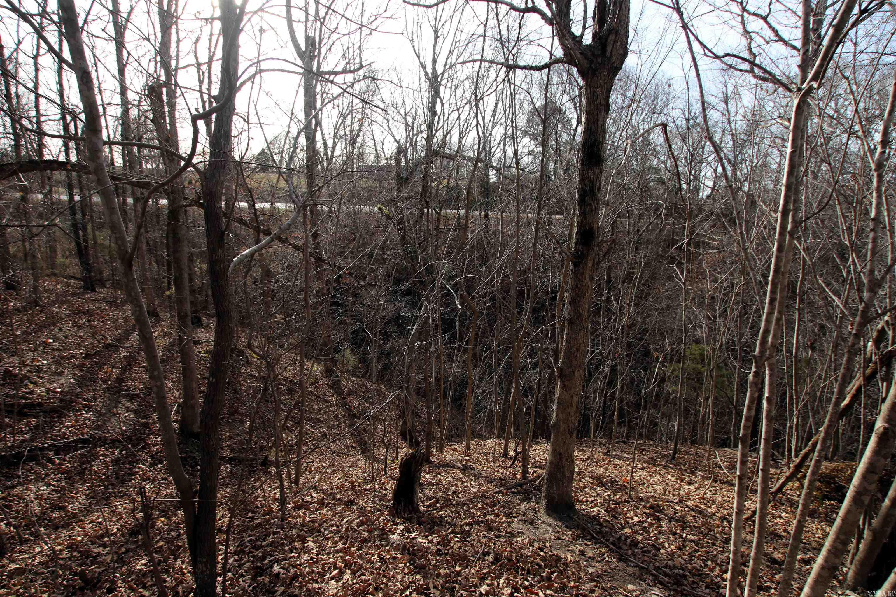 Not in Subdivision - Land