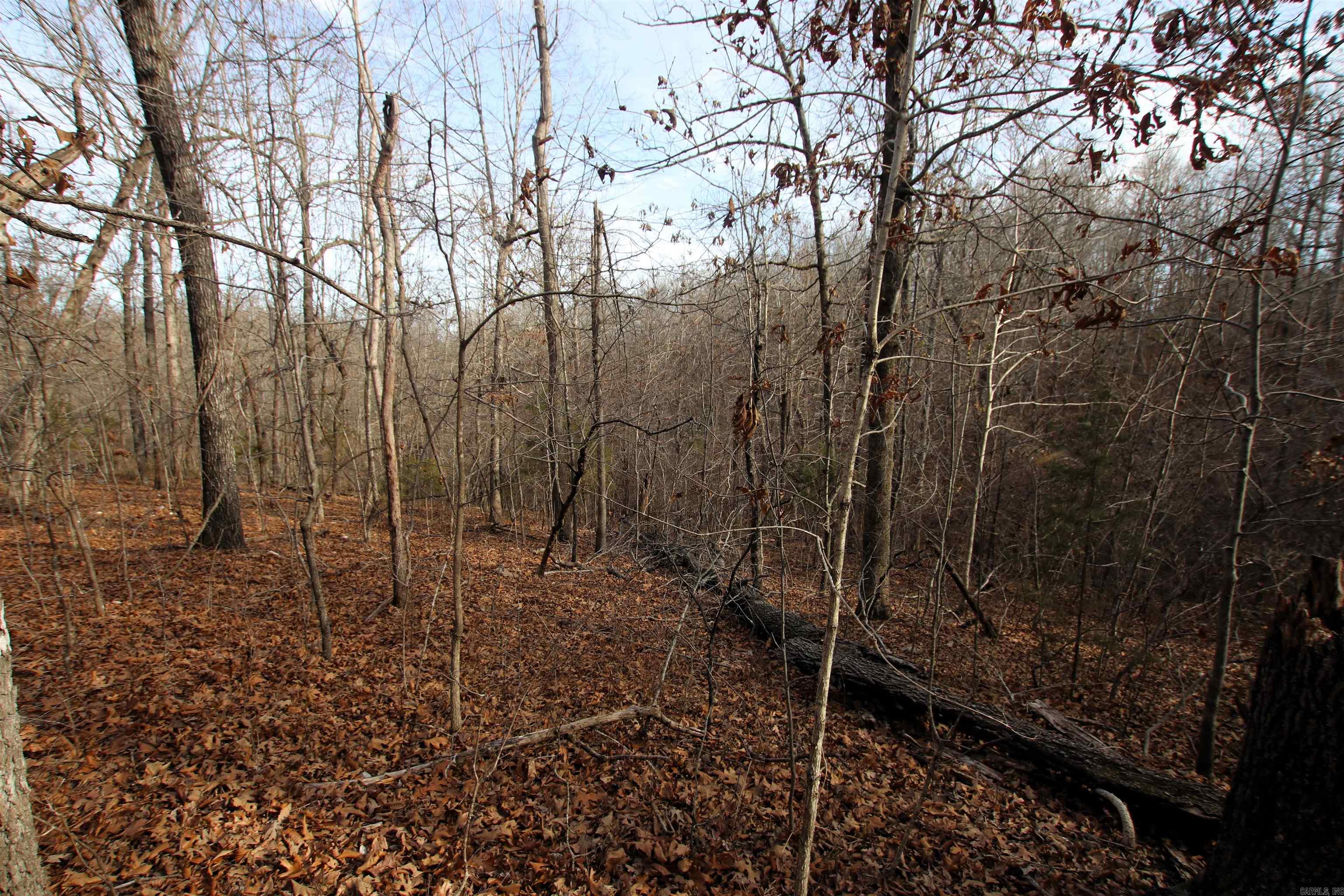 Not in Subdivision - Land