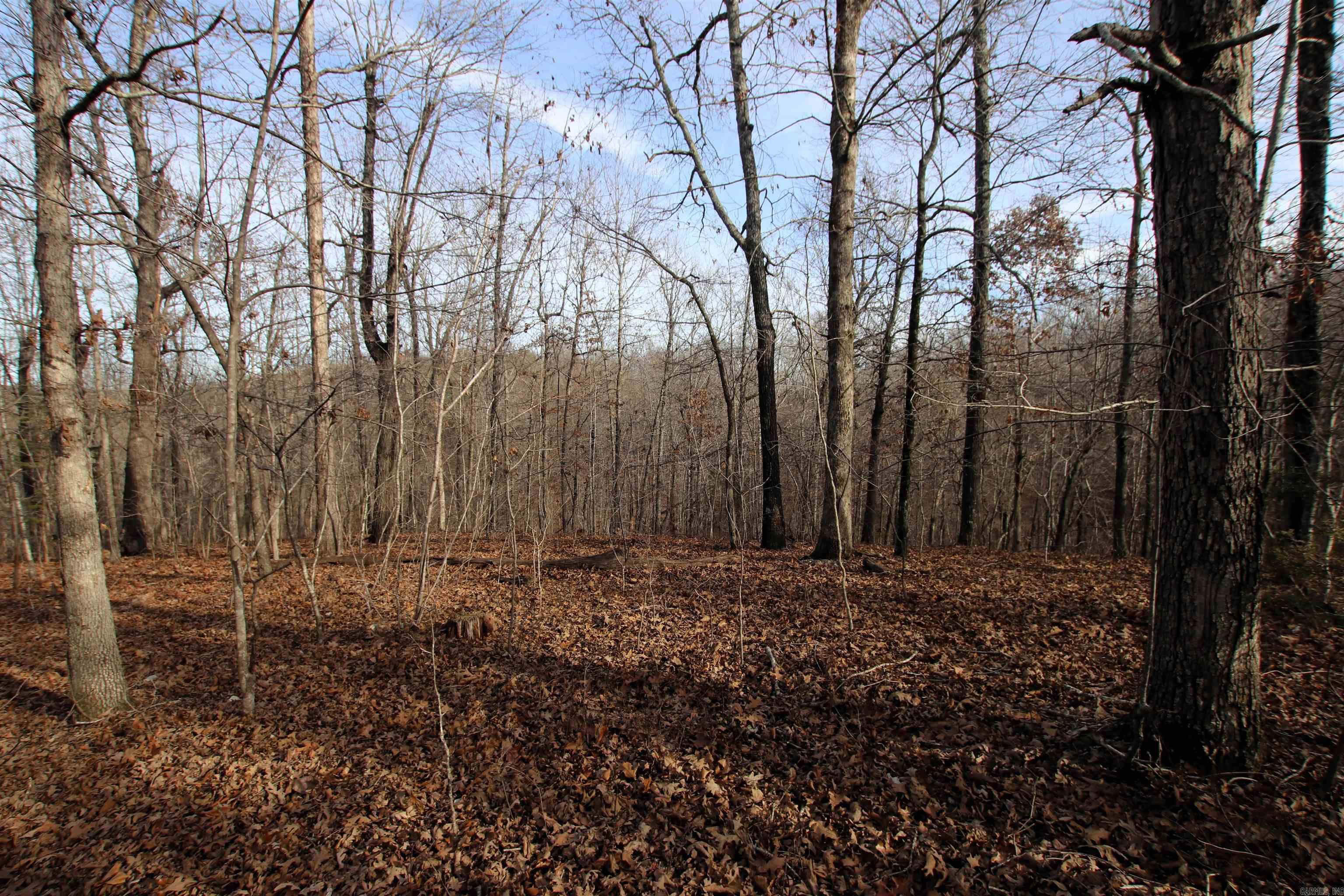 Not in Subdivision - Land