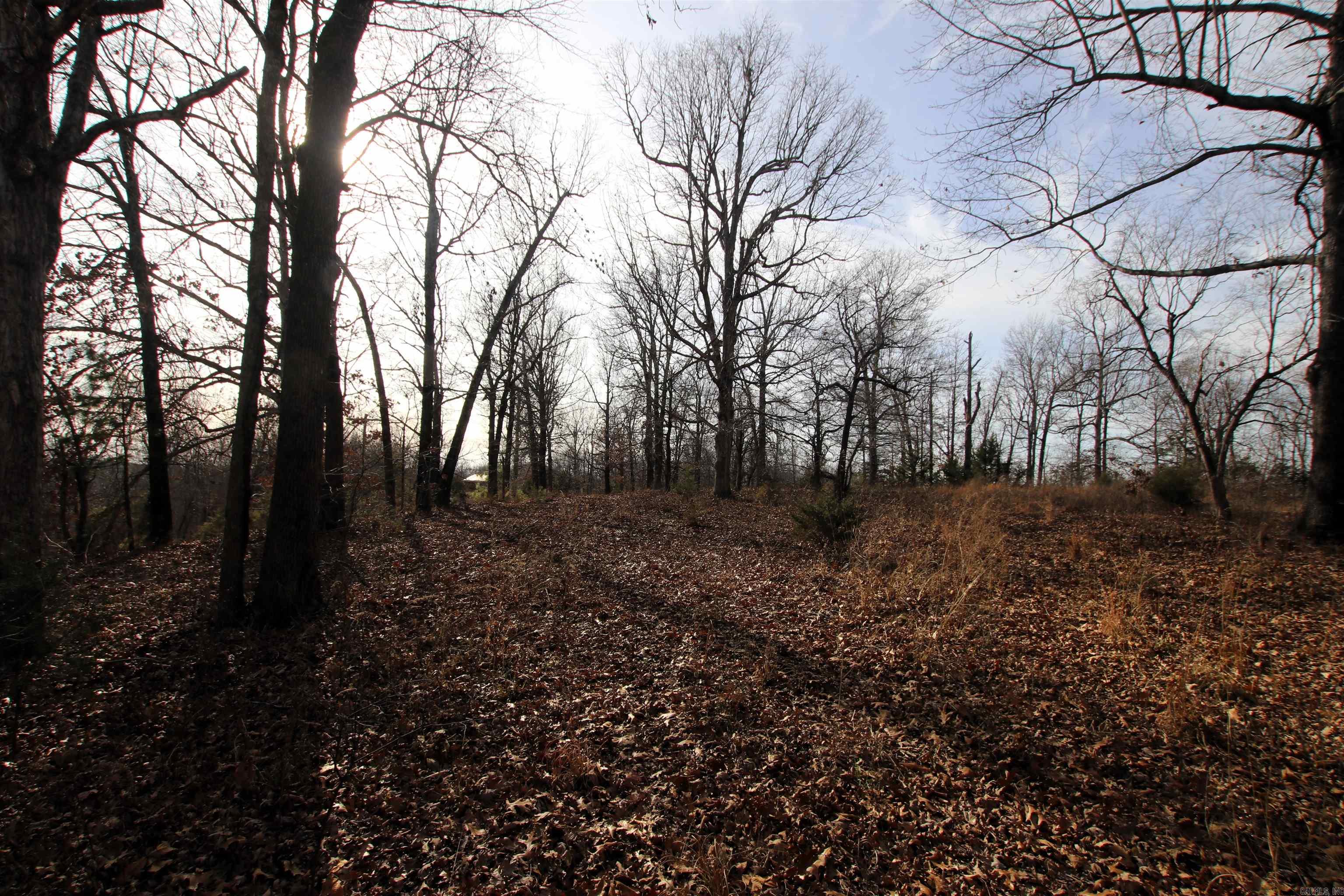 Not in Subdivision - Land