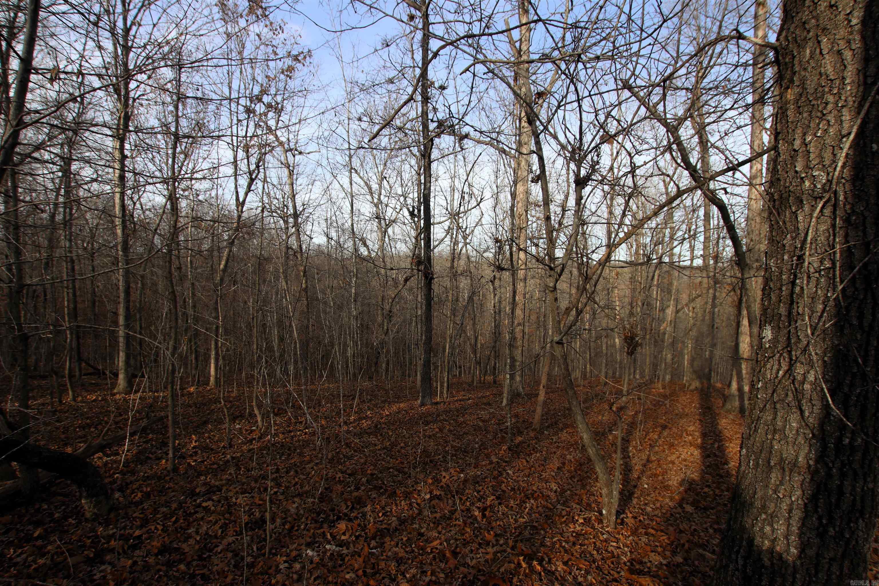 Not in Subdivision - Land