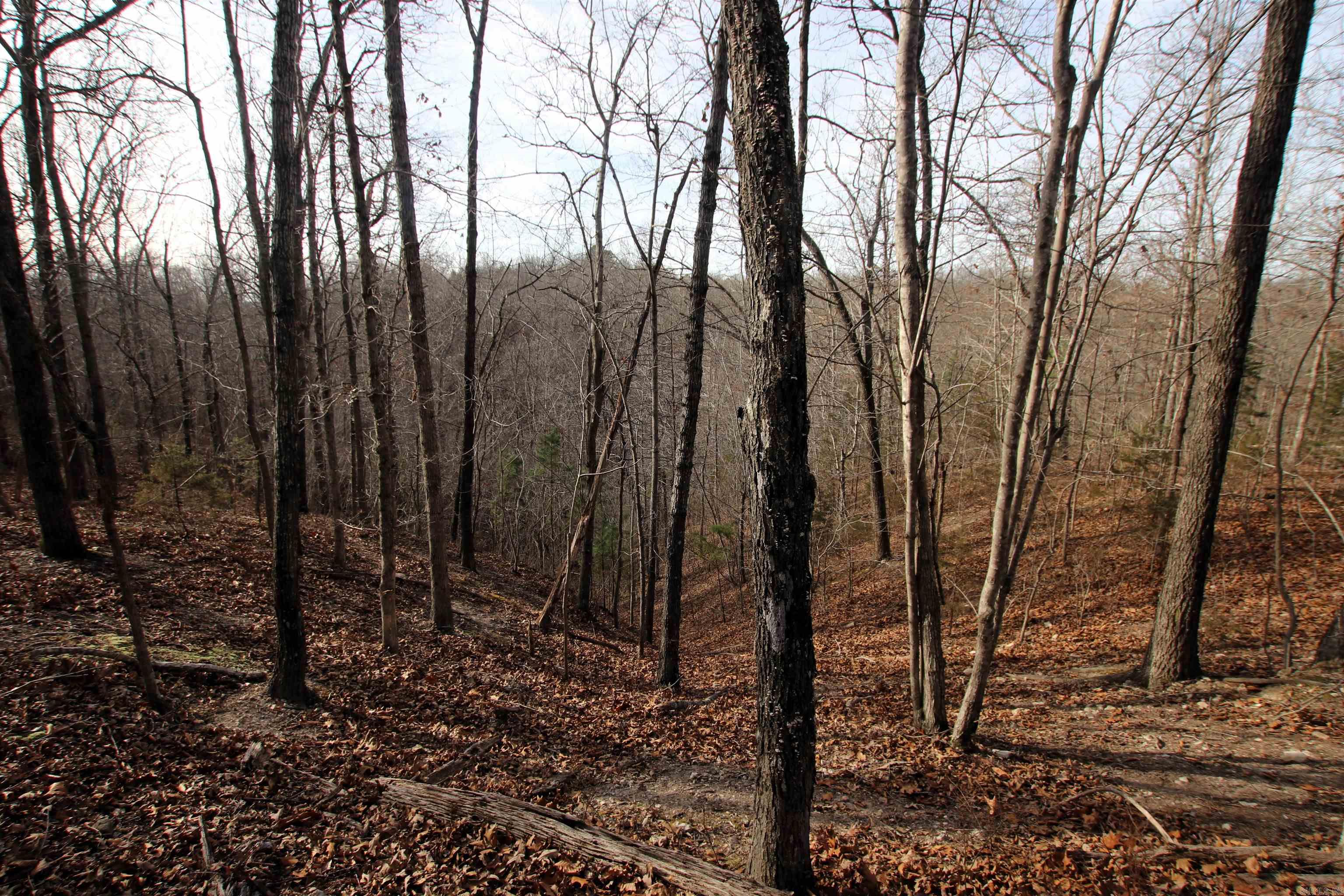 Not in Subdivision - Land