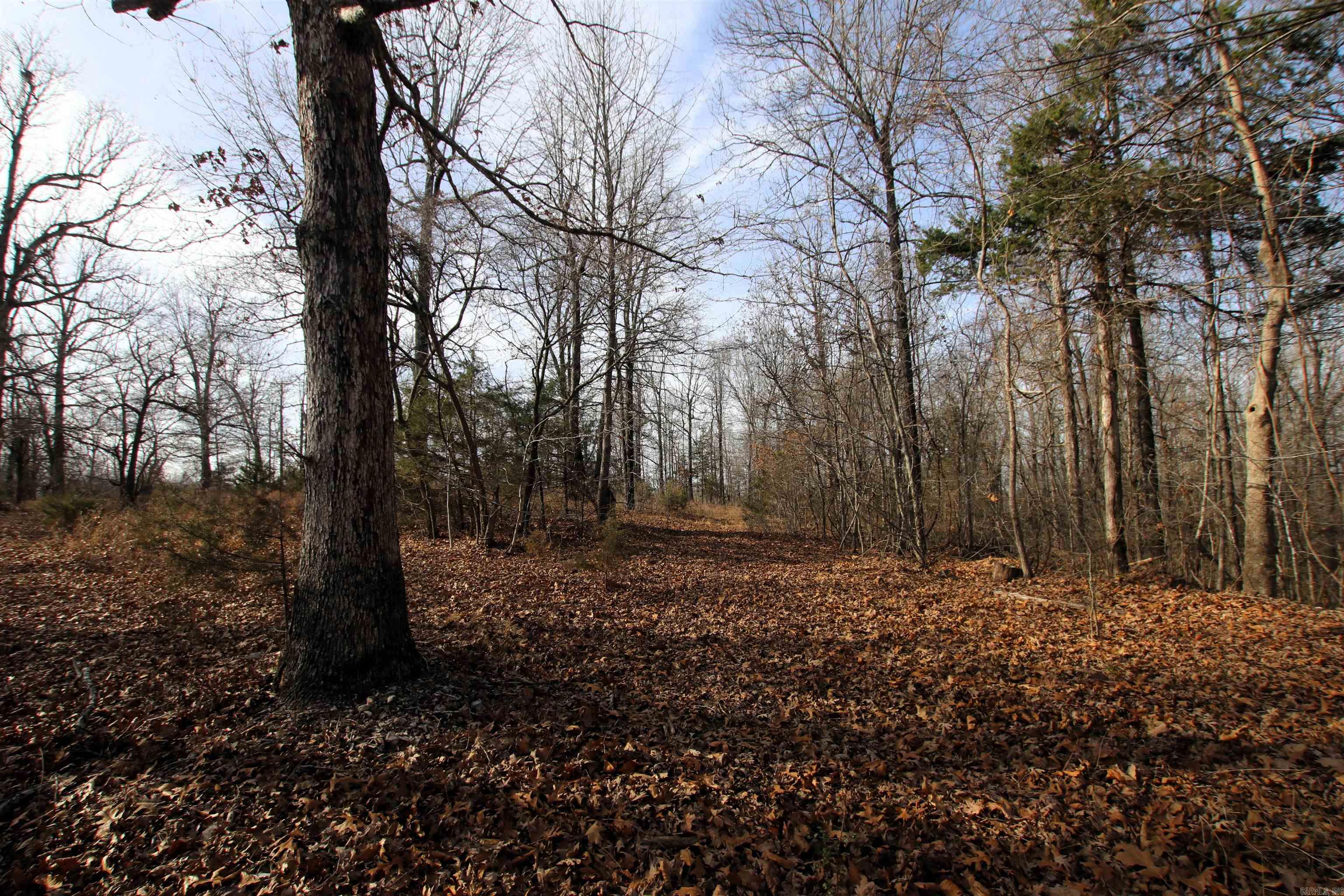 Not in Subdivision - Land