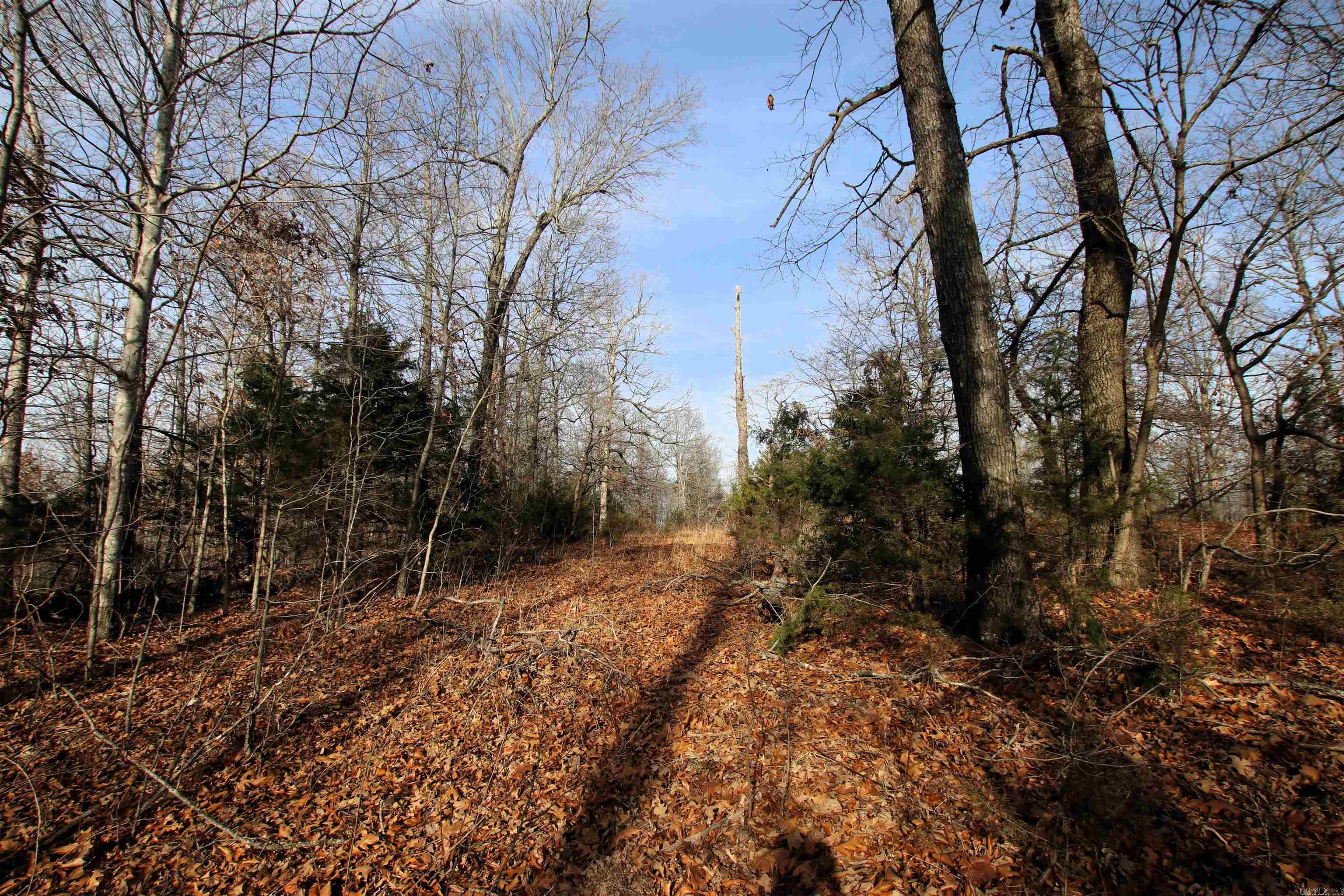 Not in Subdivision - Land