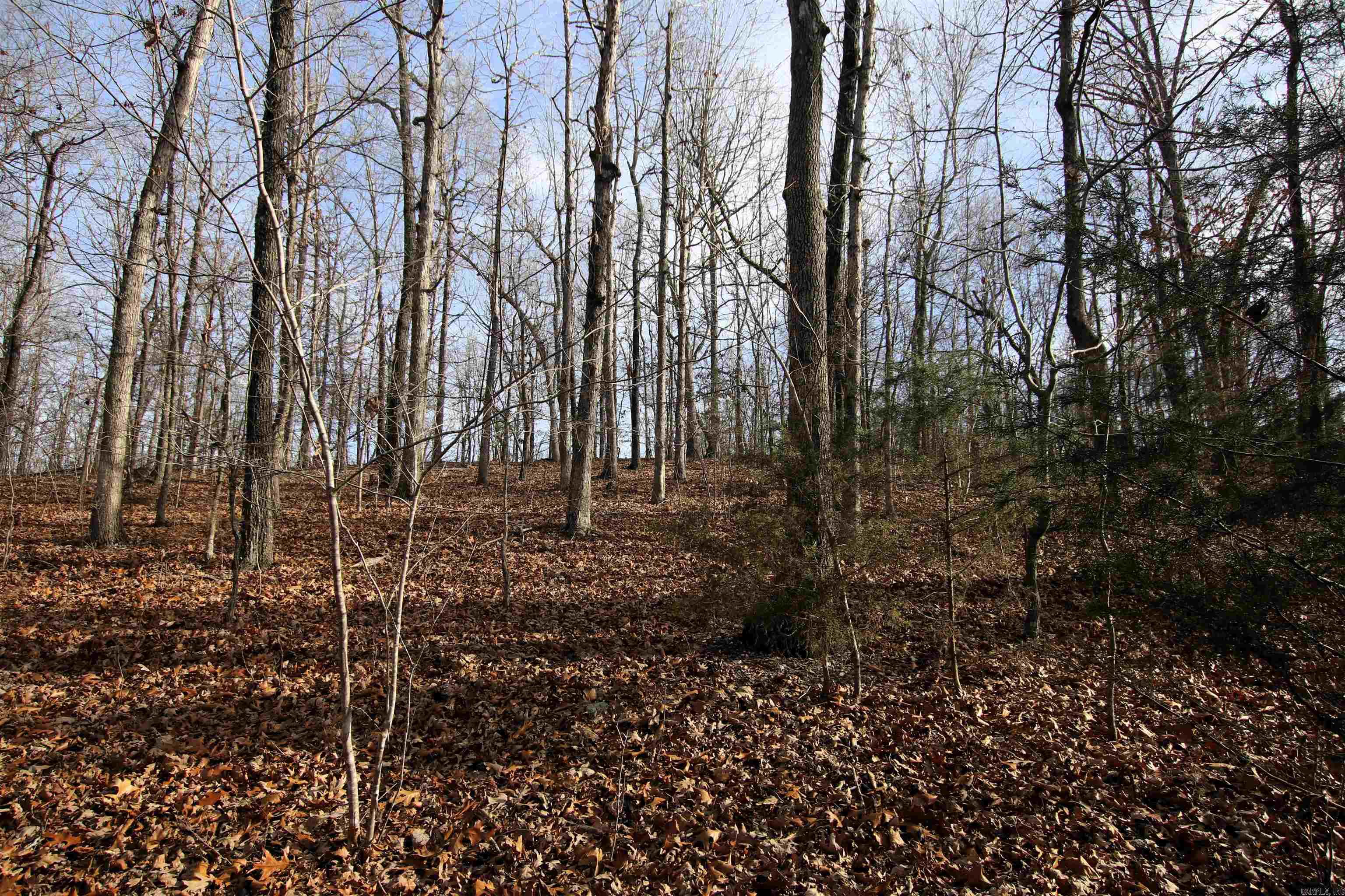 Not in Subdivision - Land