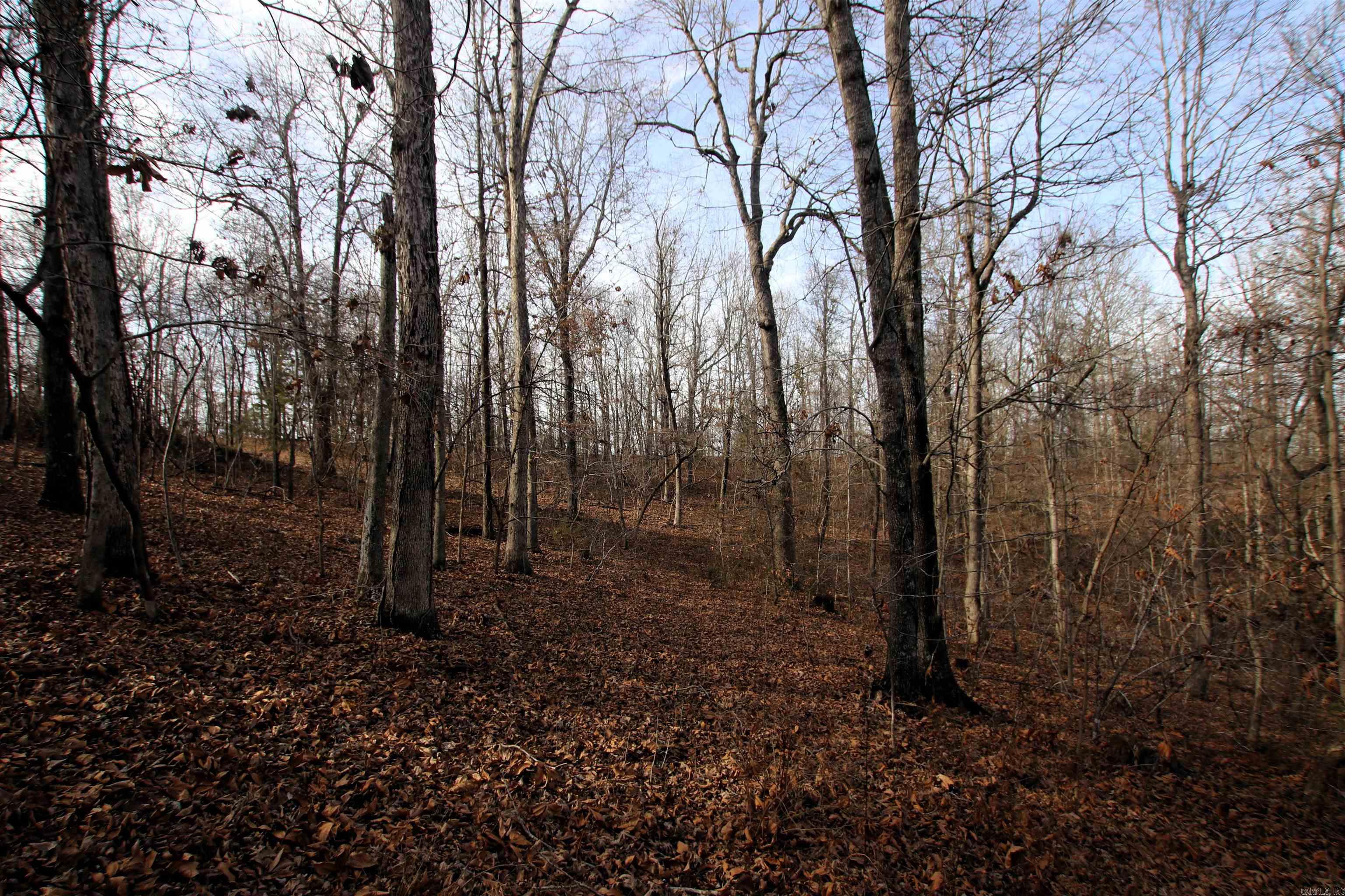 Not in Subdivision - Land