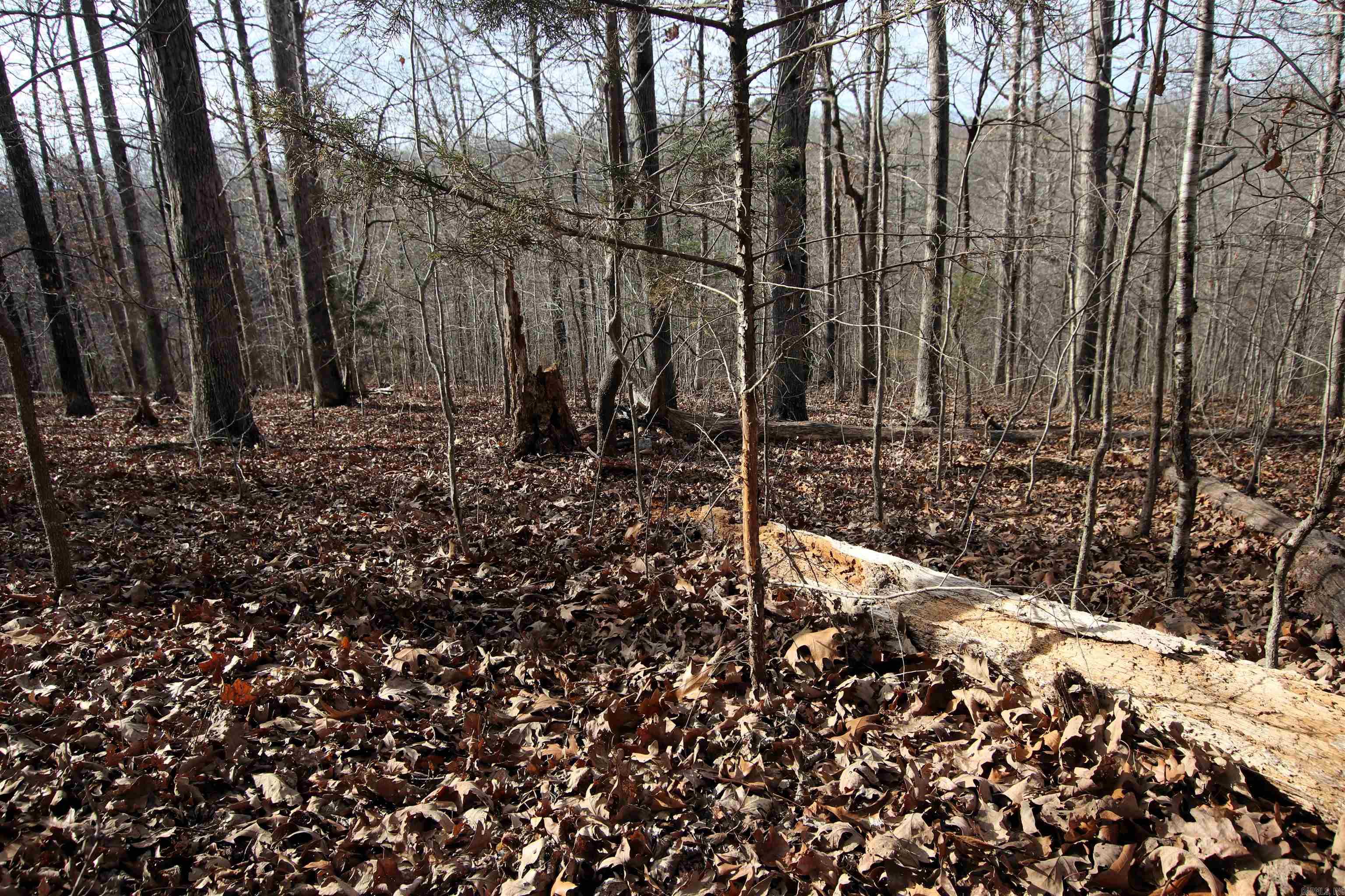 Not in Subdivision - Land