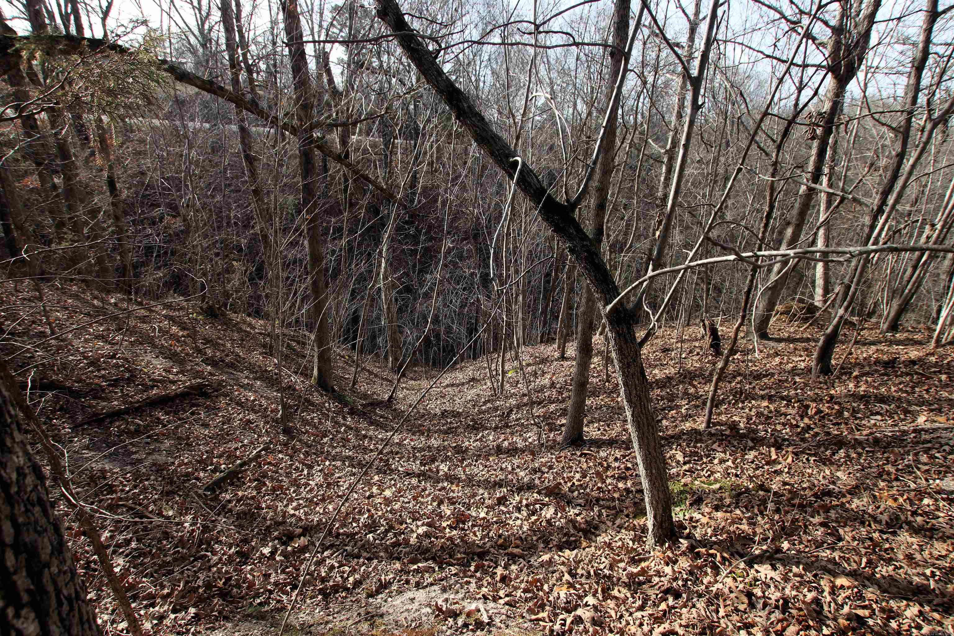 Not in Subdivision - Land