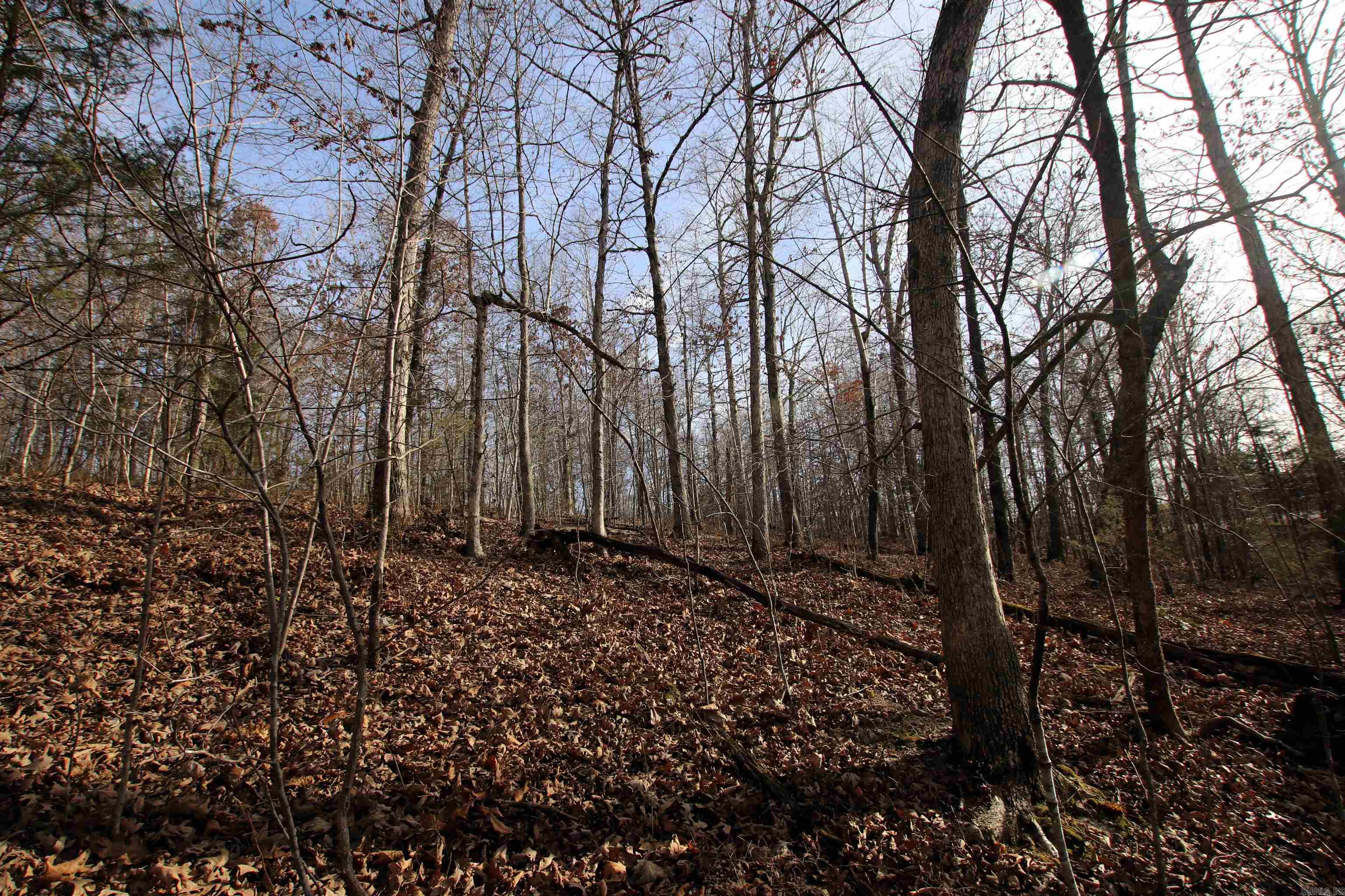 Not in Subdivision - Land