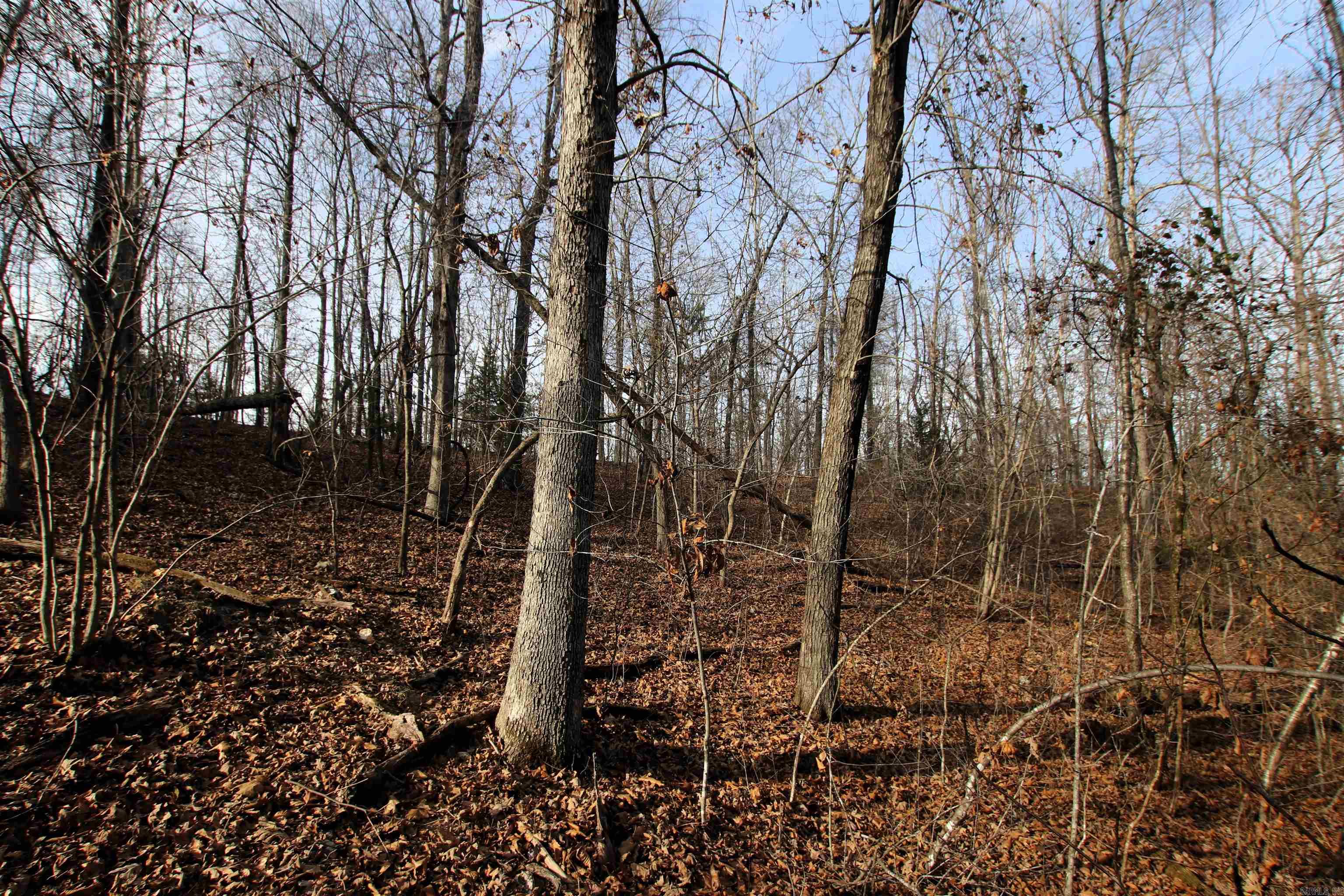 Not in Subdivision - Land