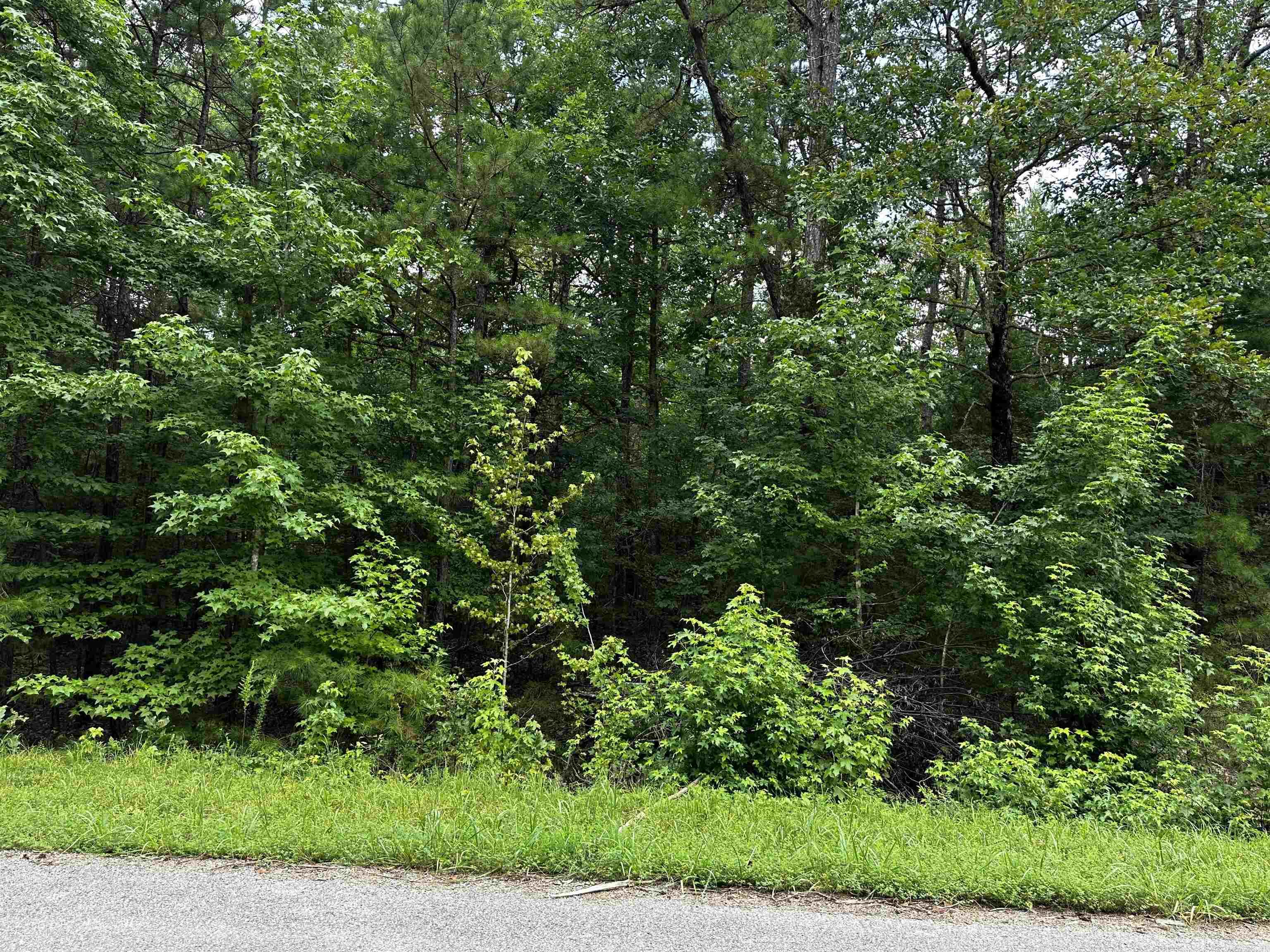 Great Neighborhood to build your dream home at the lake. Undergrounds utilities already in place! Mineral rights do not convey.