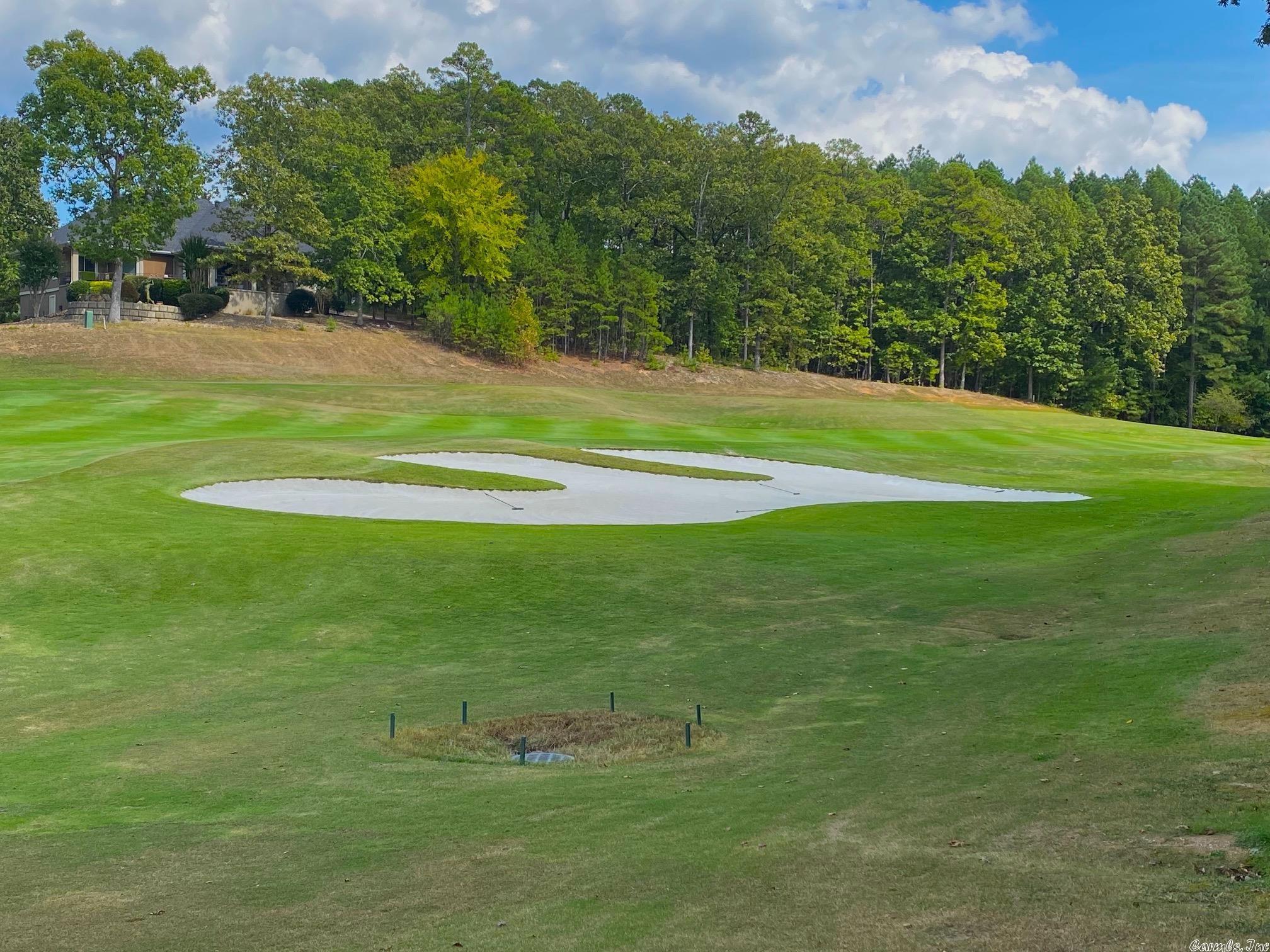 Fantastic Building site for your forever home in Diamante's private golf course located in Hot Springs Village. Largest gated community in the country, 26,000 acres,11 lakes,8 additional golf courses, miles of walking trails, less then 30 min. from Historic down town Hot Springs Oaklawn Race Track/Casino Diamante home to #3 ranked award winning golf course in Arkansas Golf Digest.