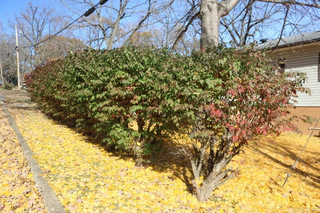 WOODLAND HEIGHTS - Residential