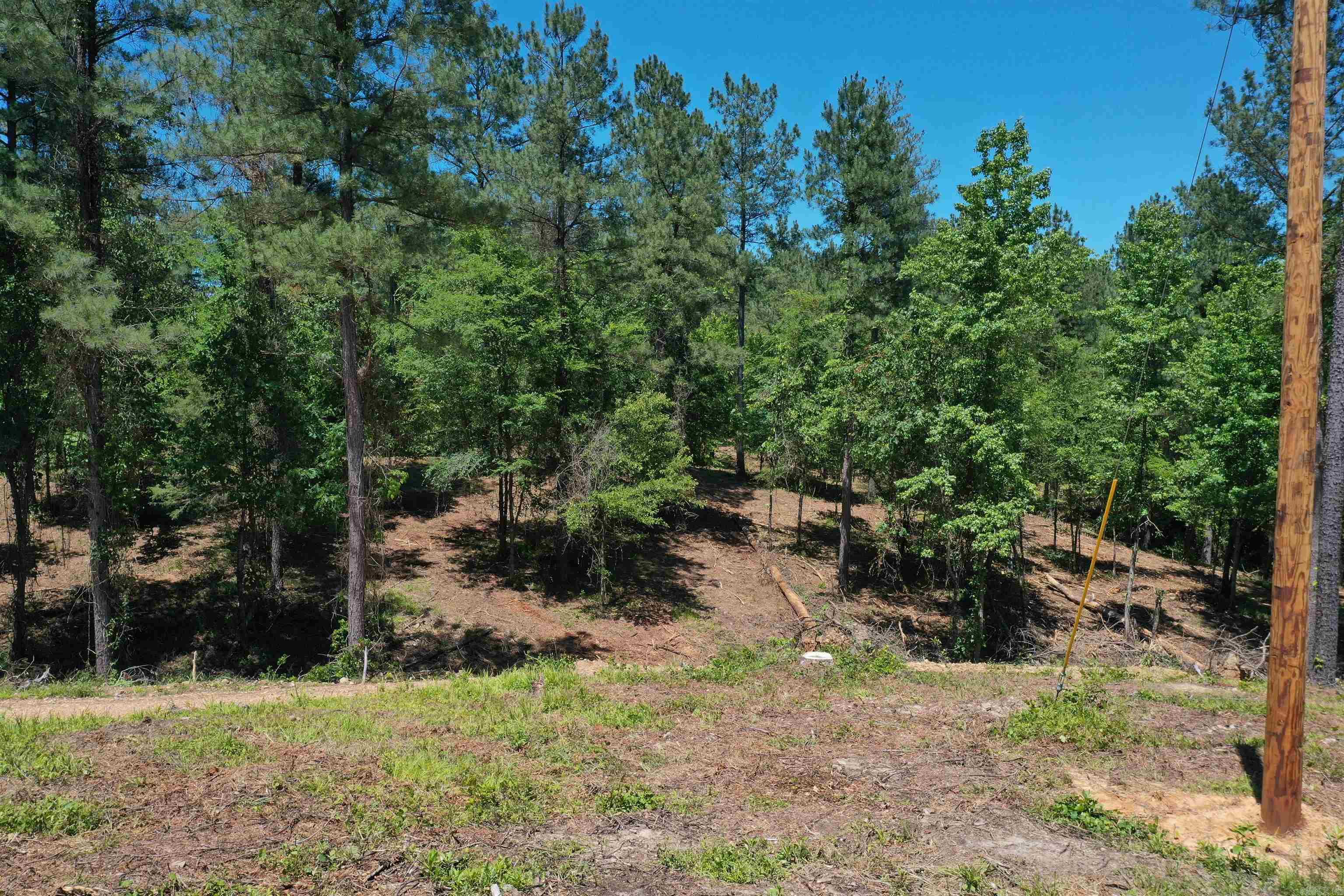 BEAR CREEK RIDGE SUBDIVISION PHA - Land