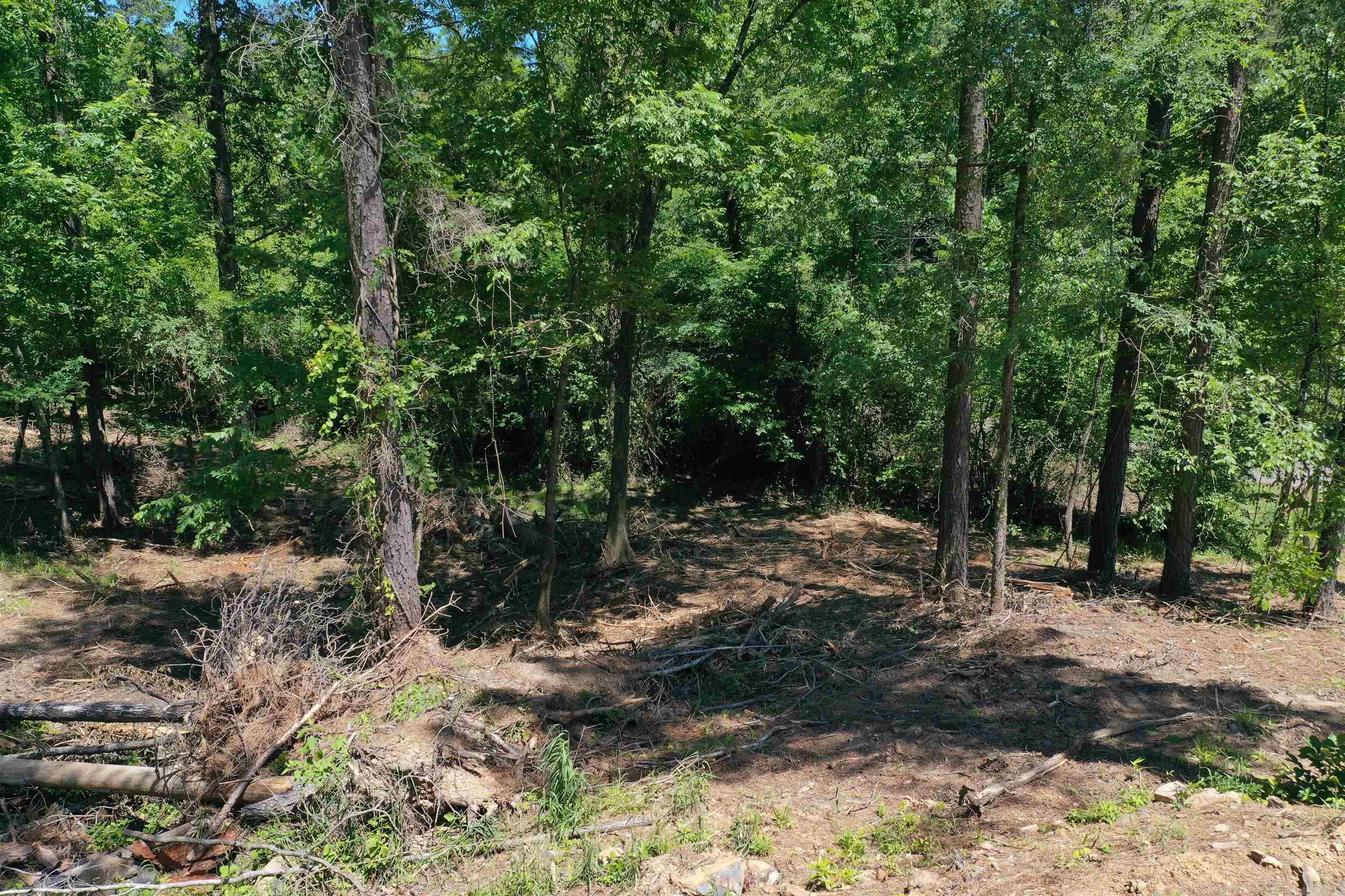 BEAR CREEK RIDGE SUBDIVISION PHA - Land