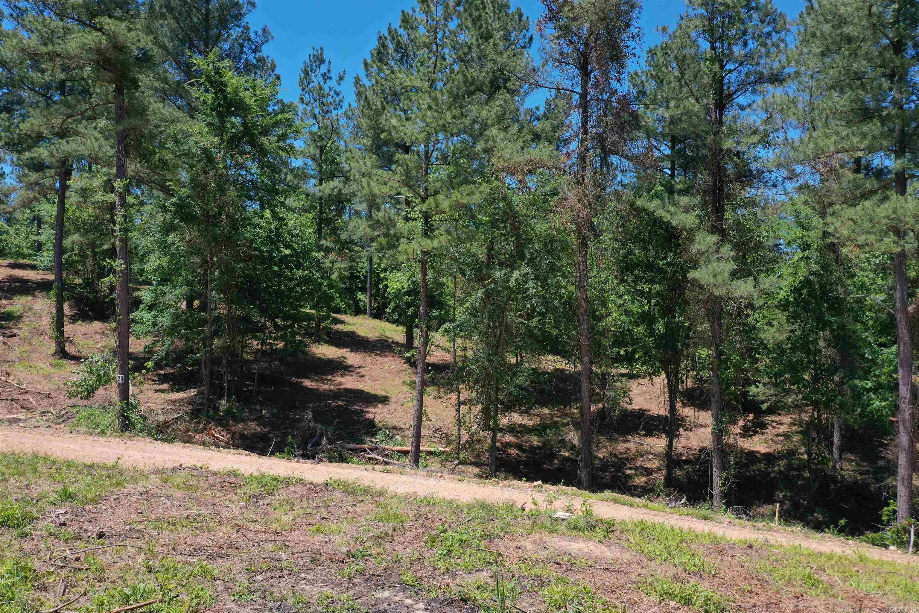 BEAR CREEK RIDGE SUBDIVISION PHA - Land