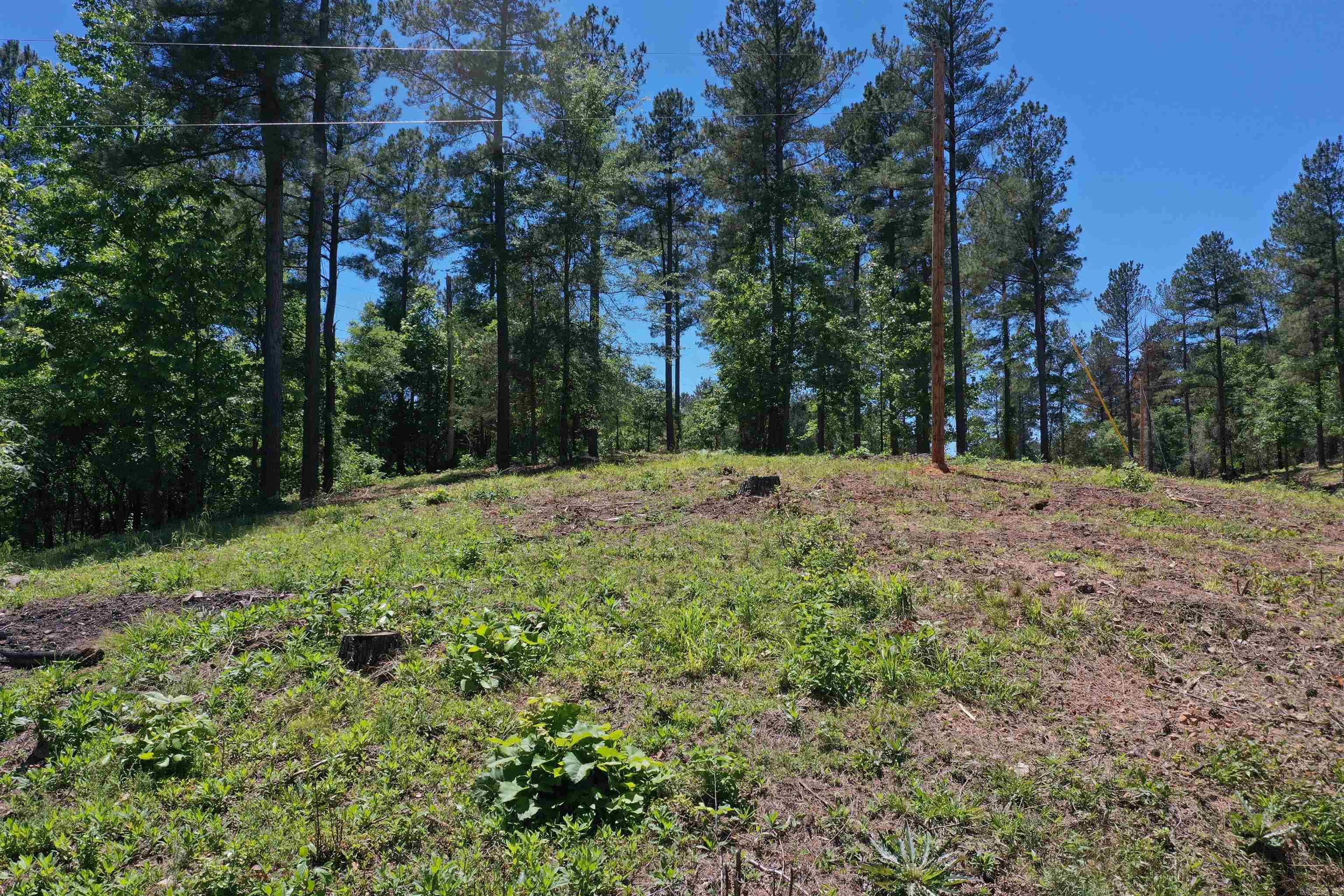 BEAR CREEK RIDGE SUBDIVISION PHA - Land