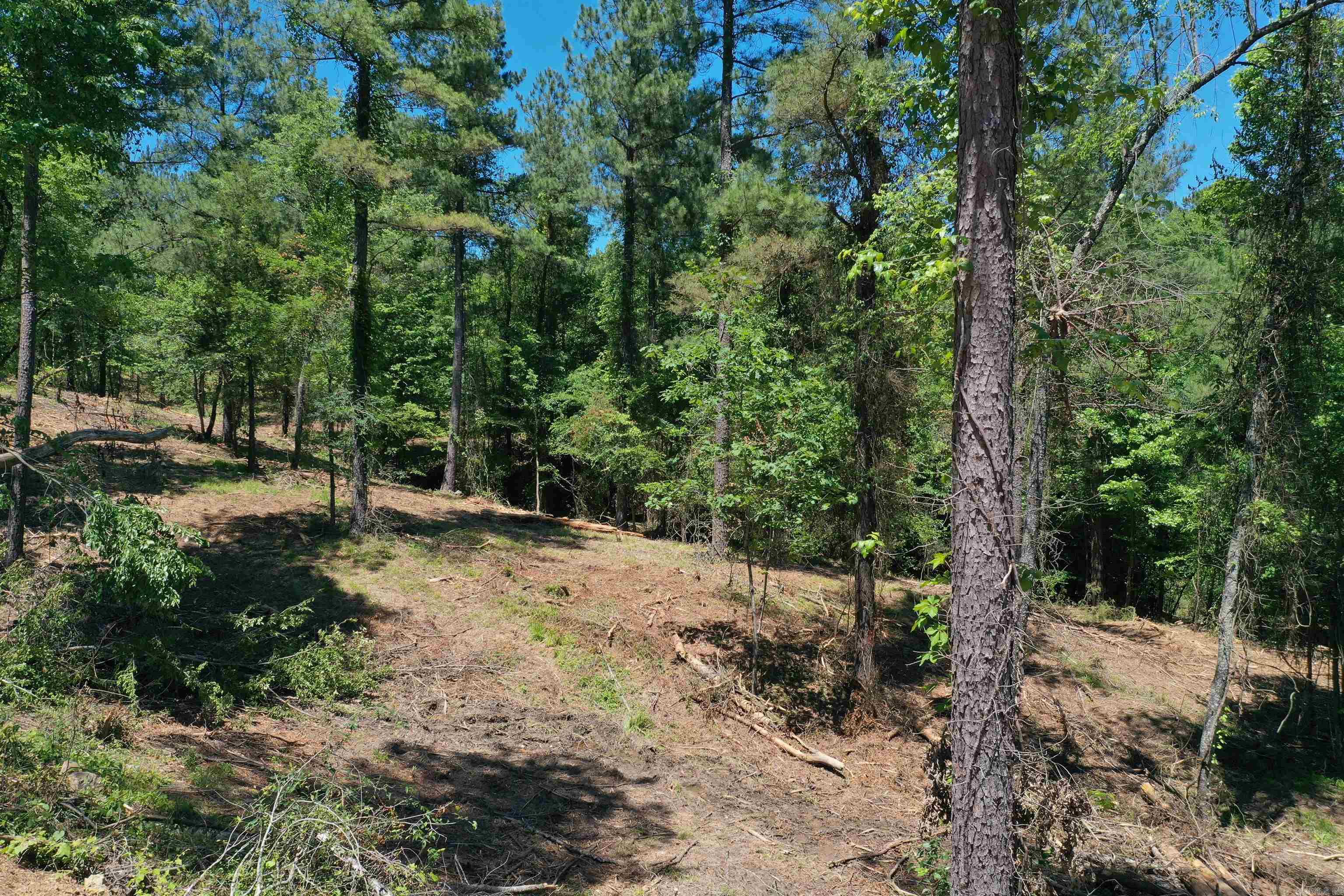 BEAR CREEK RIDGE SUBDIVISION PHA - Land