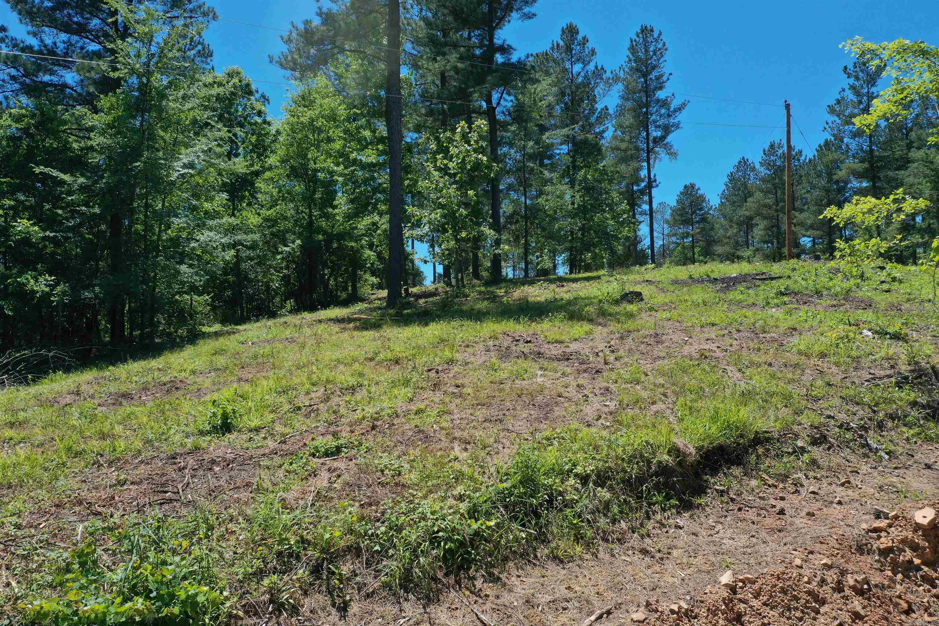 BEAR CREEK RIDGE SUBDIVISION PHA - Land