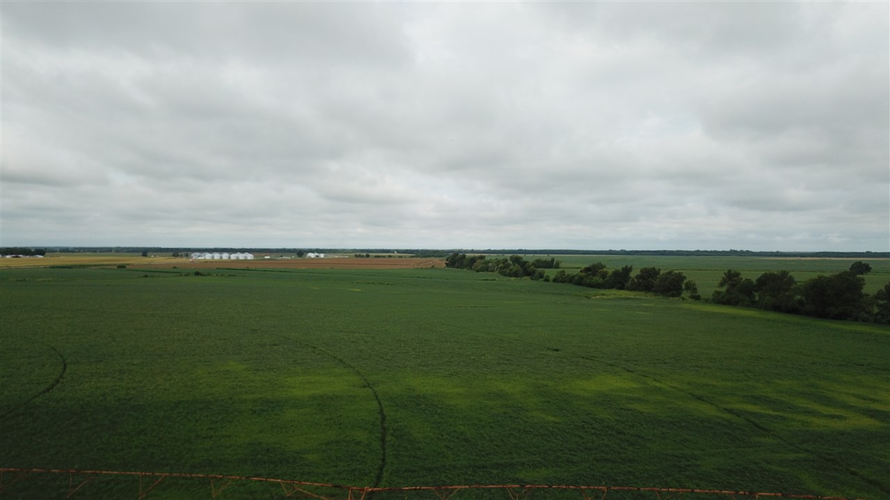Investment Grade Farm for sale near Crawfordsville, AR. Cotton, soybean and corn farm. Siltloam soils. Sold Before entered.