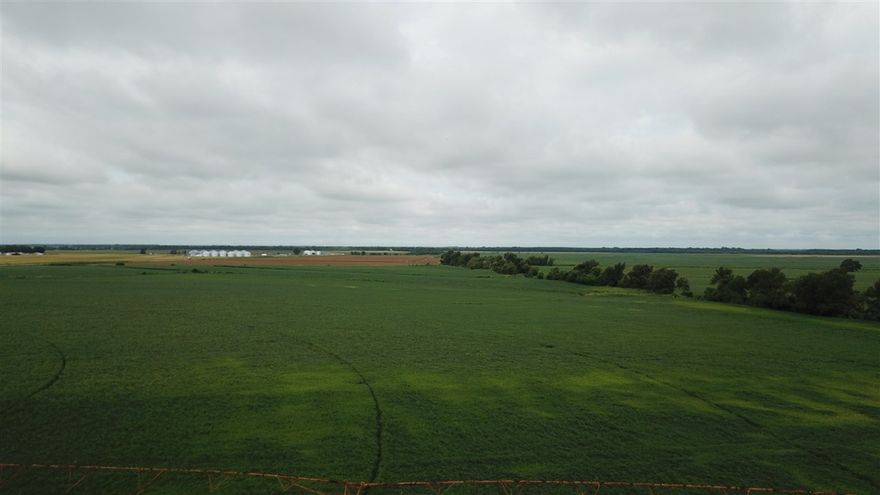Investment Grade Farm for sale near Crawfordsville, AR. Cotton, soybean and corn farm. Siltloam soils. Sold Before entered.