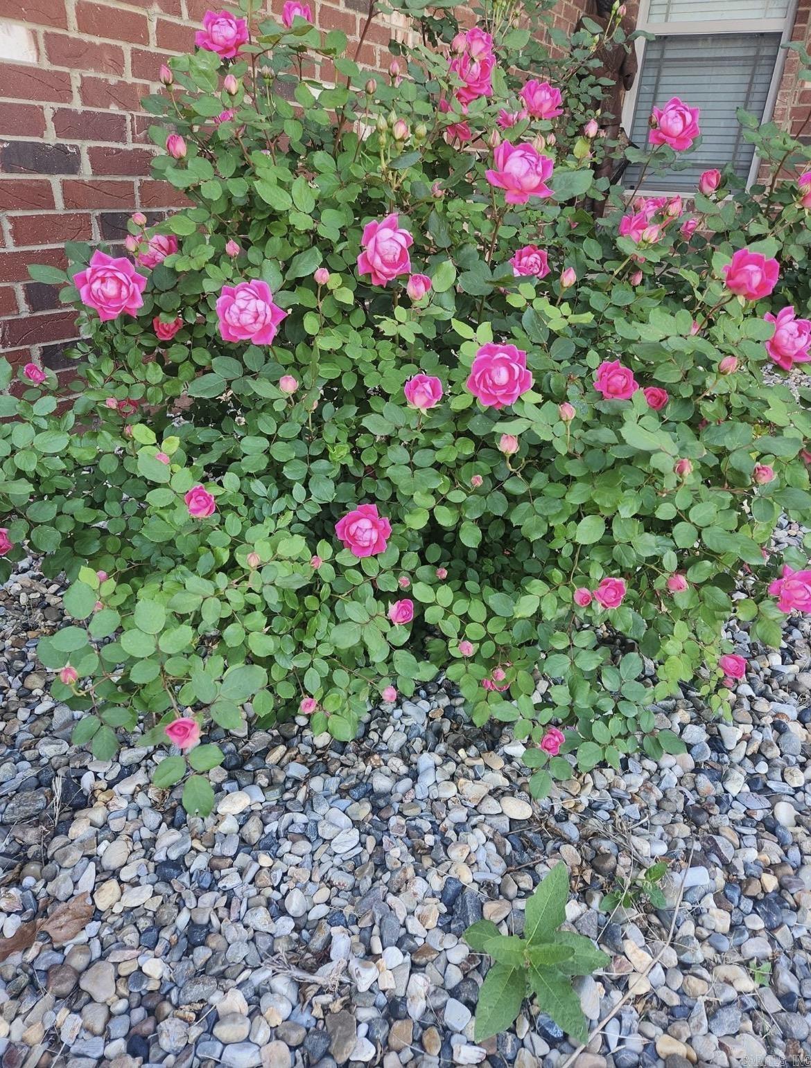 Saddle Creek - Residential