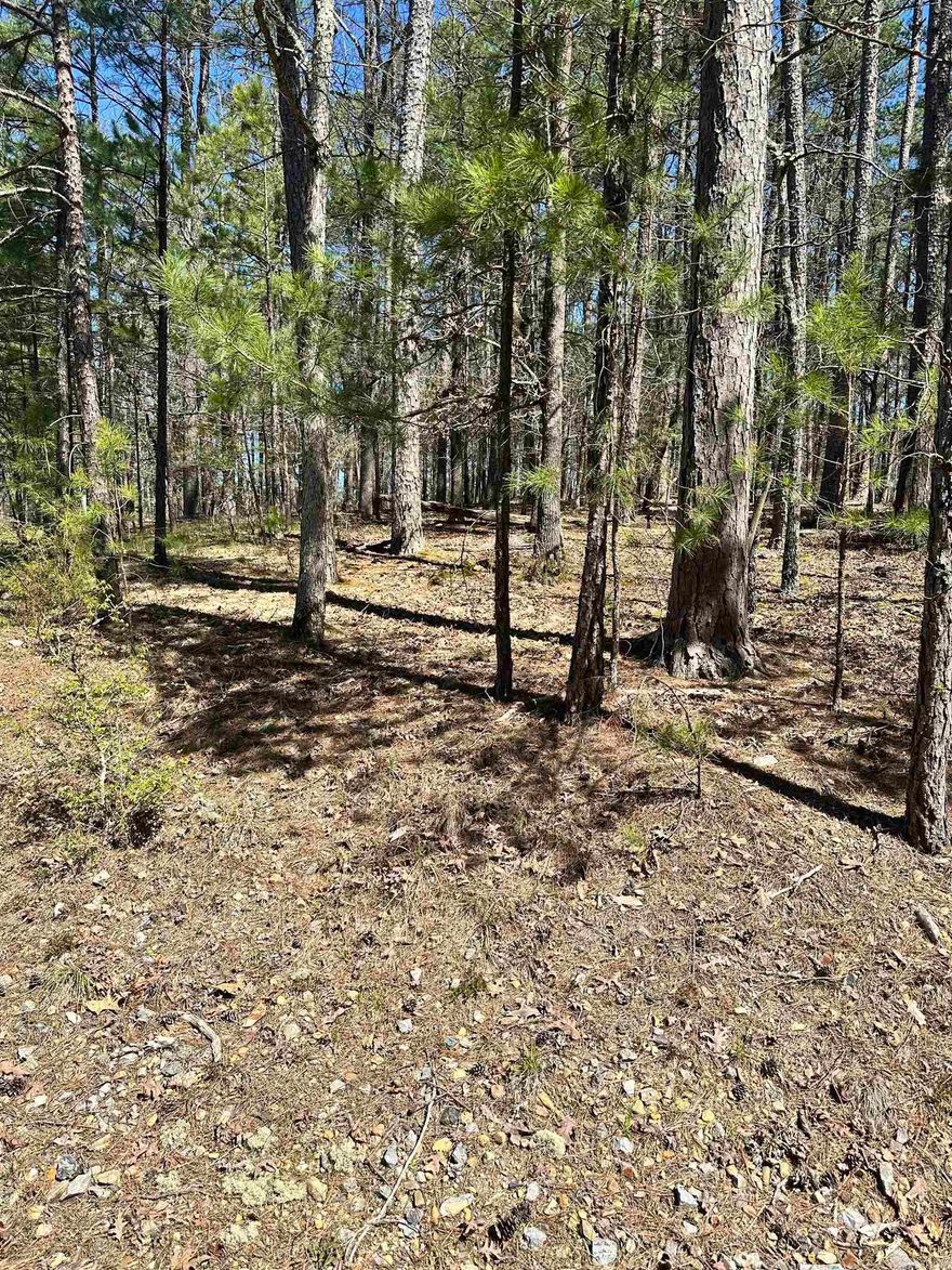 Welcome to the opportunity of a lifetime! This vacant lot, situated near the prestigious Ponce de Leon golf course, offers the chance to build your dream home in America's largest gated community. Nestled on a charming tree-lined cul-de-sac, this prime location combines the tranquility of nature with the convenience of numerous amenities.  With endless possibilities for customization, seize this rare chance to create the ultimate luxury retreat. Don't miss out on this extraordinary chance to live in one of the most sought-after communities in the country.