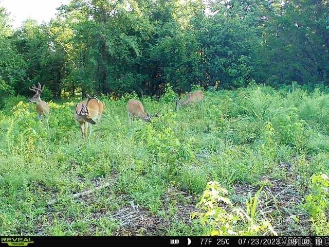 Metes & Bounds - Land