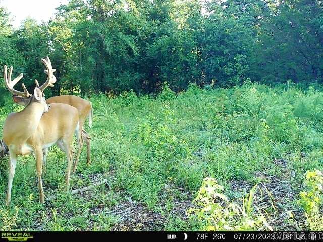 Metes & Bounds - Land