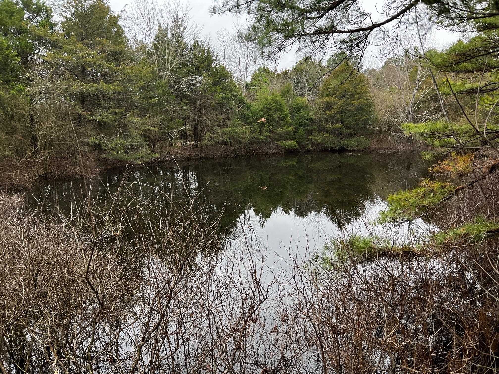 Metes & Bounds - Land